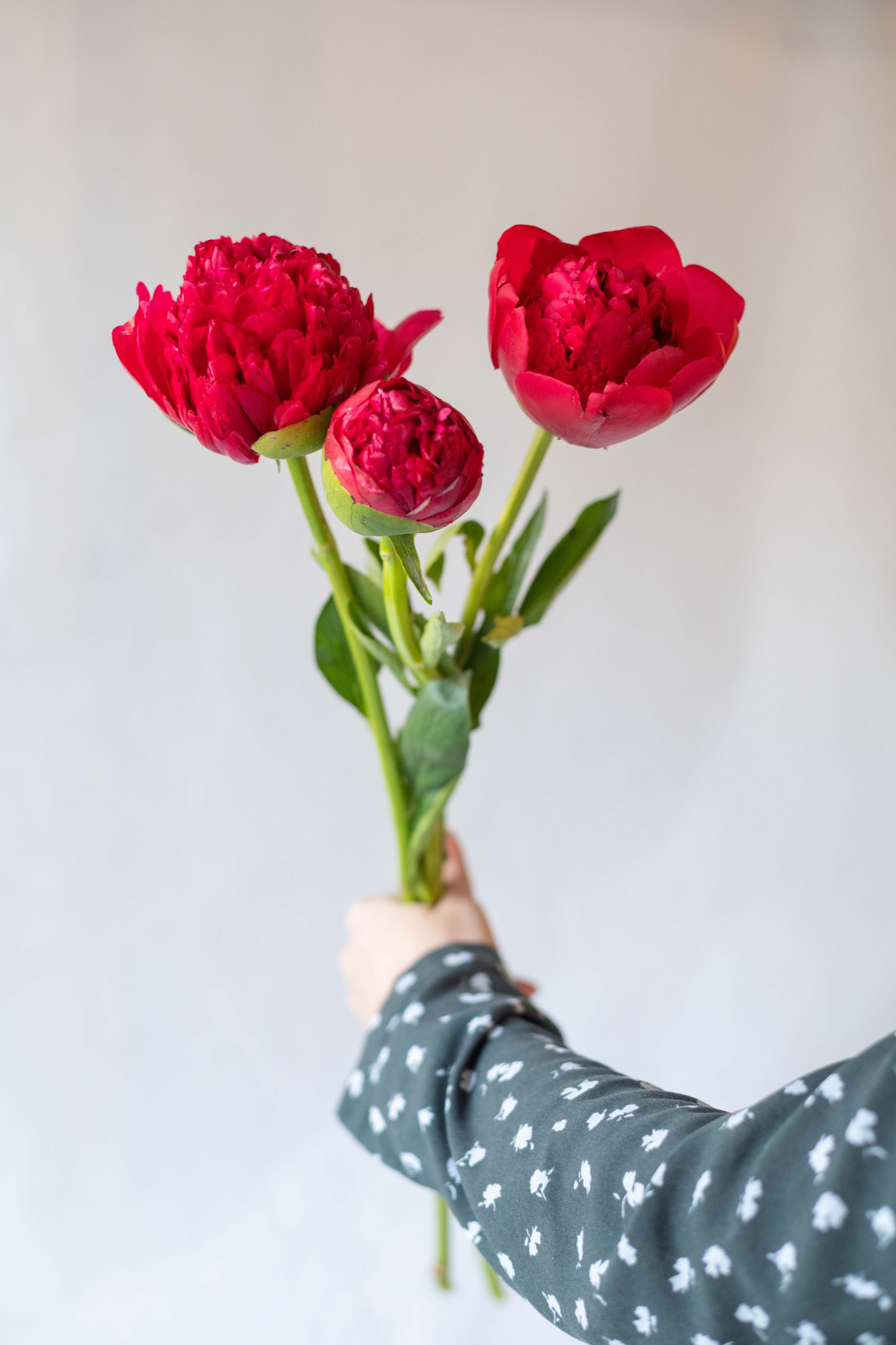 Букеты. Фотограф в Красноярске Надежда Воскресенская