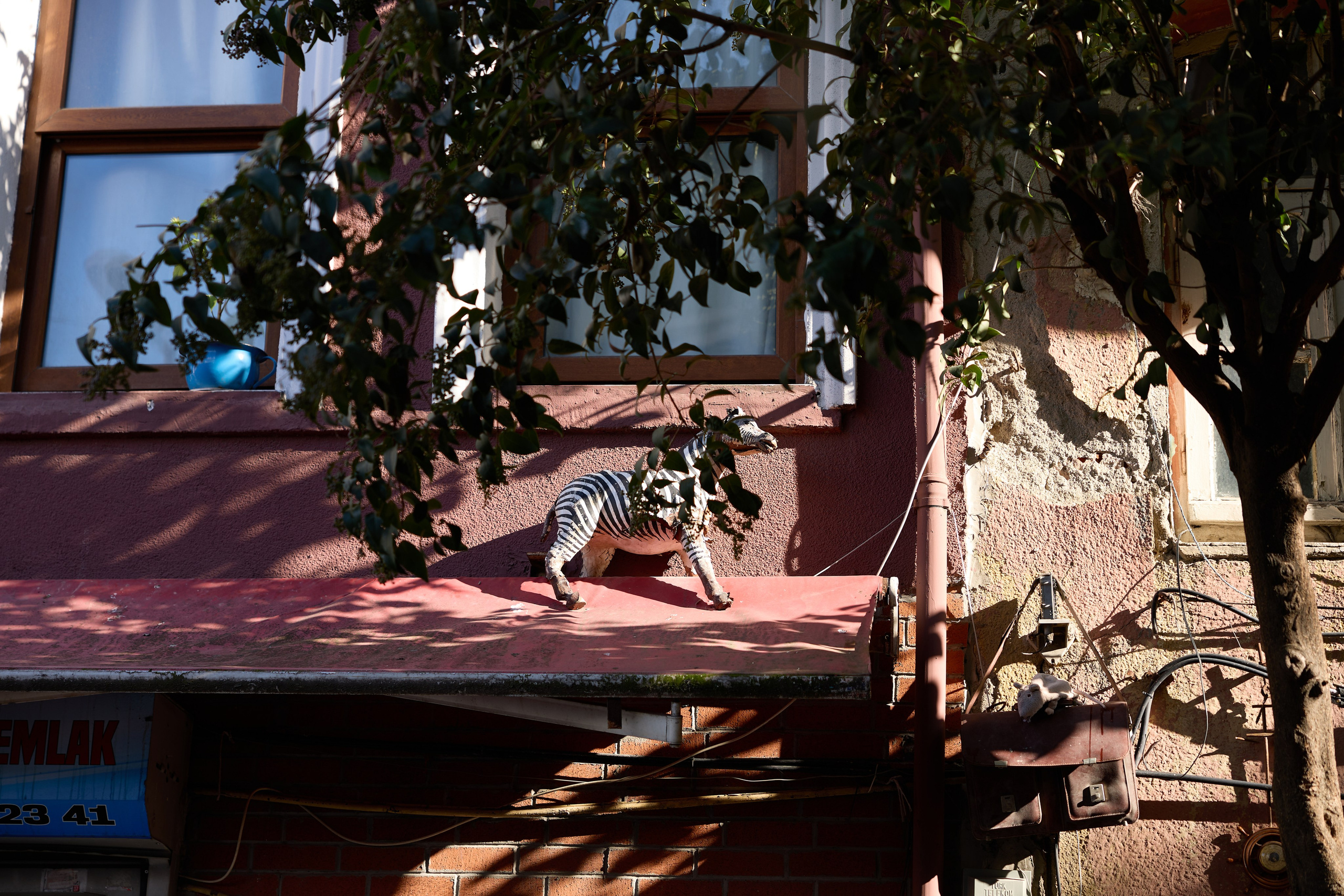 Стамбул 24. Фотограф Москва, Дима Пеллер