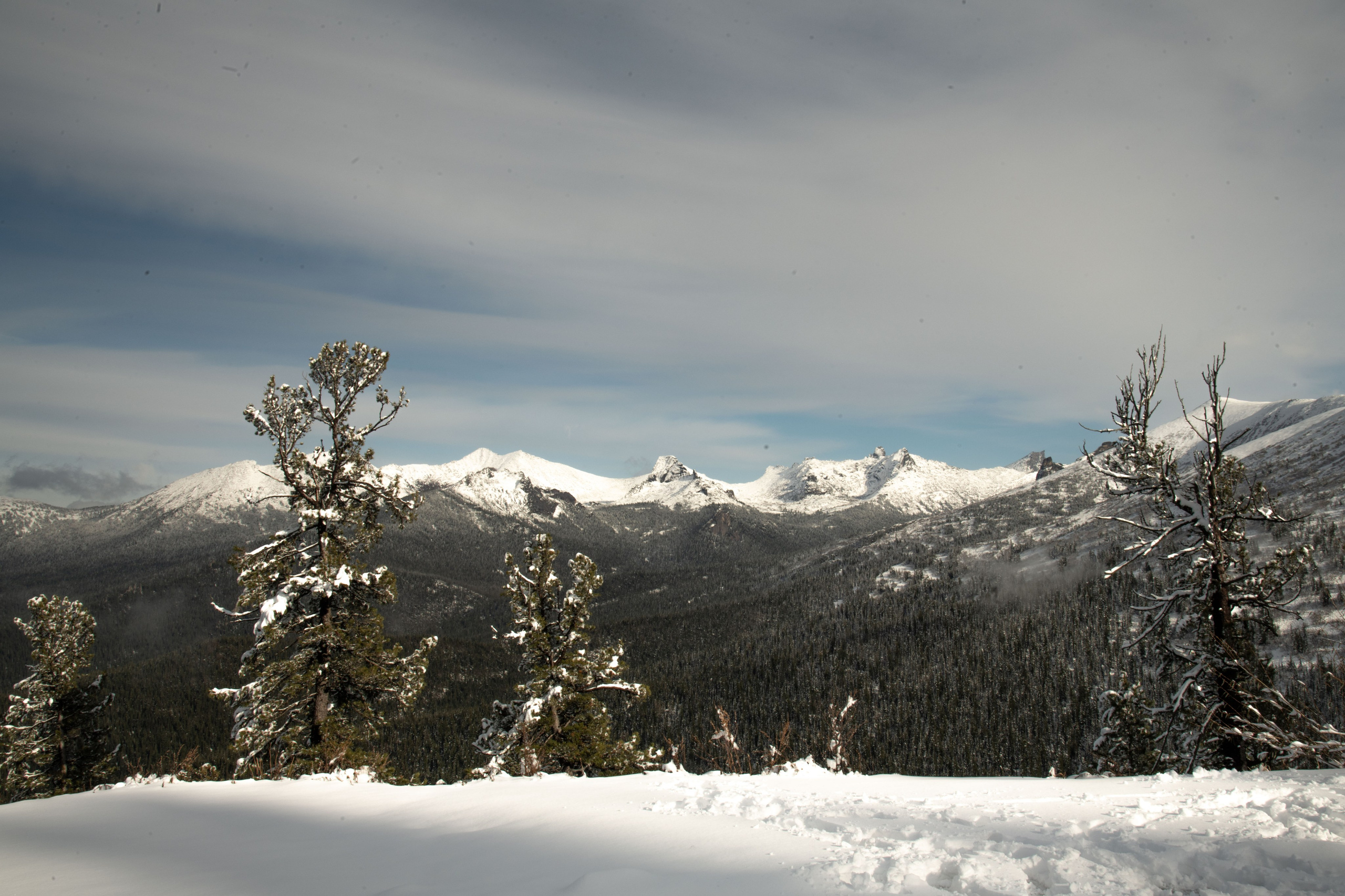 Природа. Александра Панина фотограф, портрет, семья, бизнес, Новосибирск