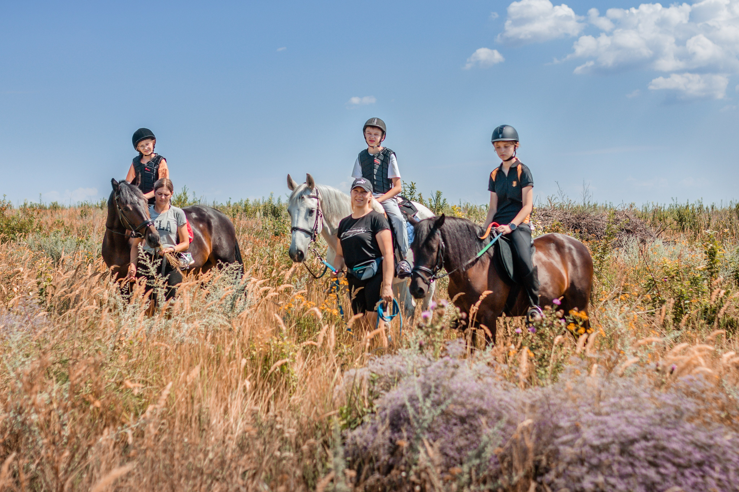 Выезды в поля на лошади