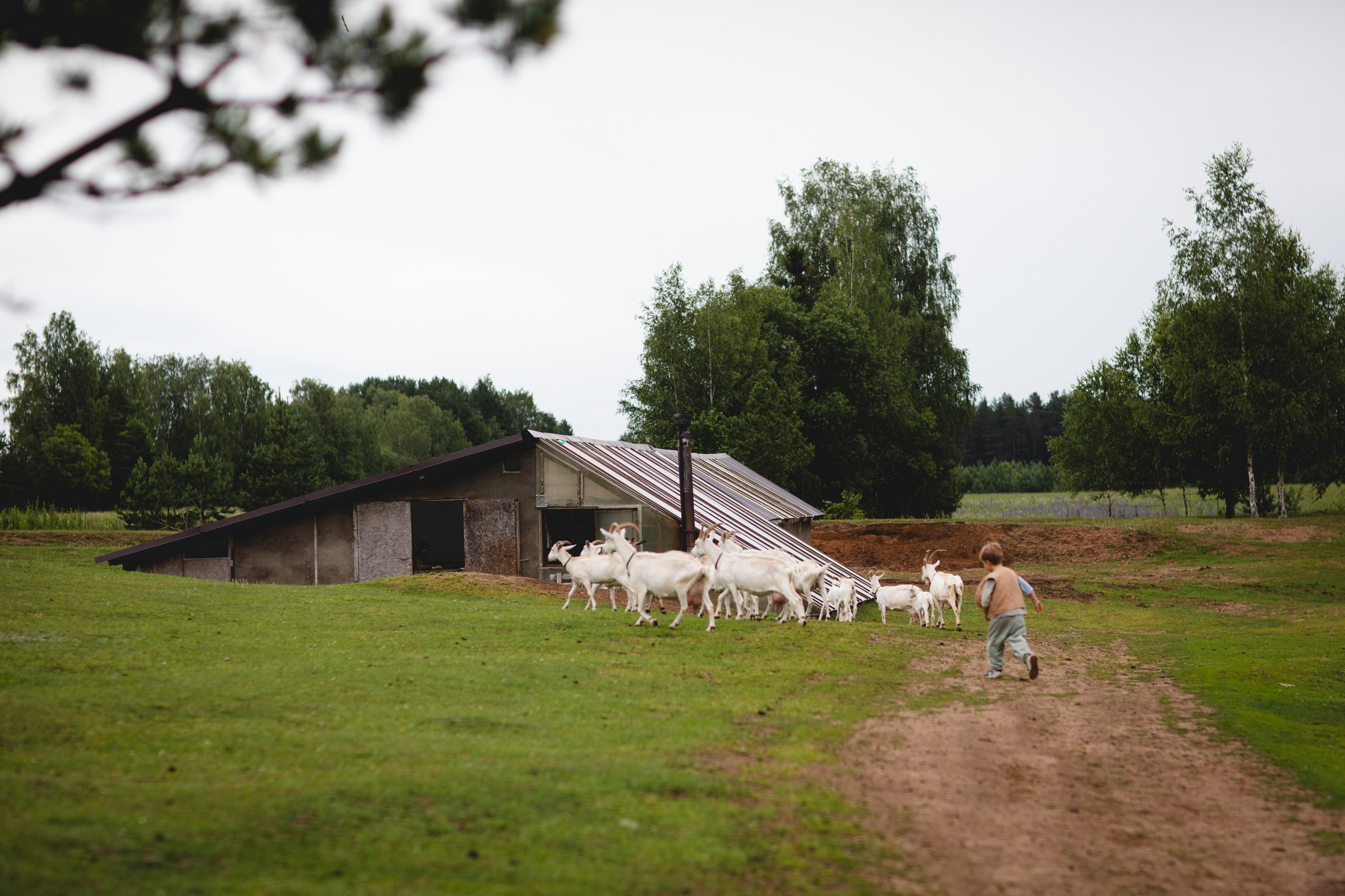 Фототуур «Край озёр» Лето. Семейный фотограф в Москве Анастасия Гурьянова