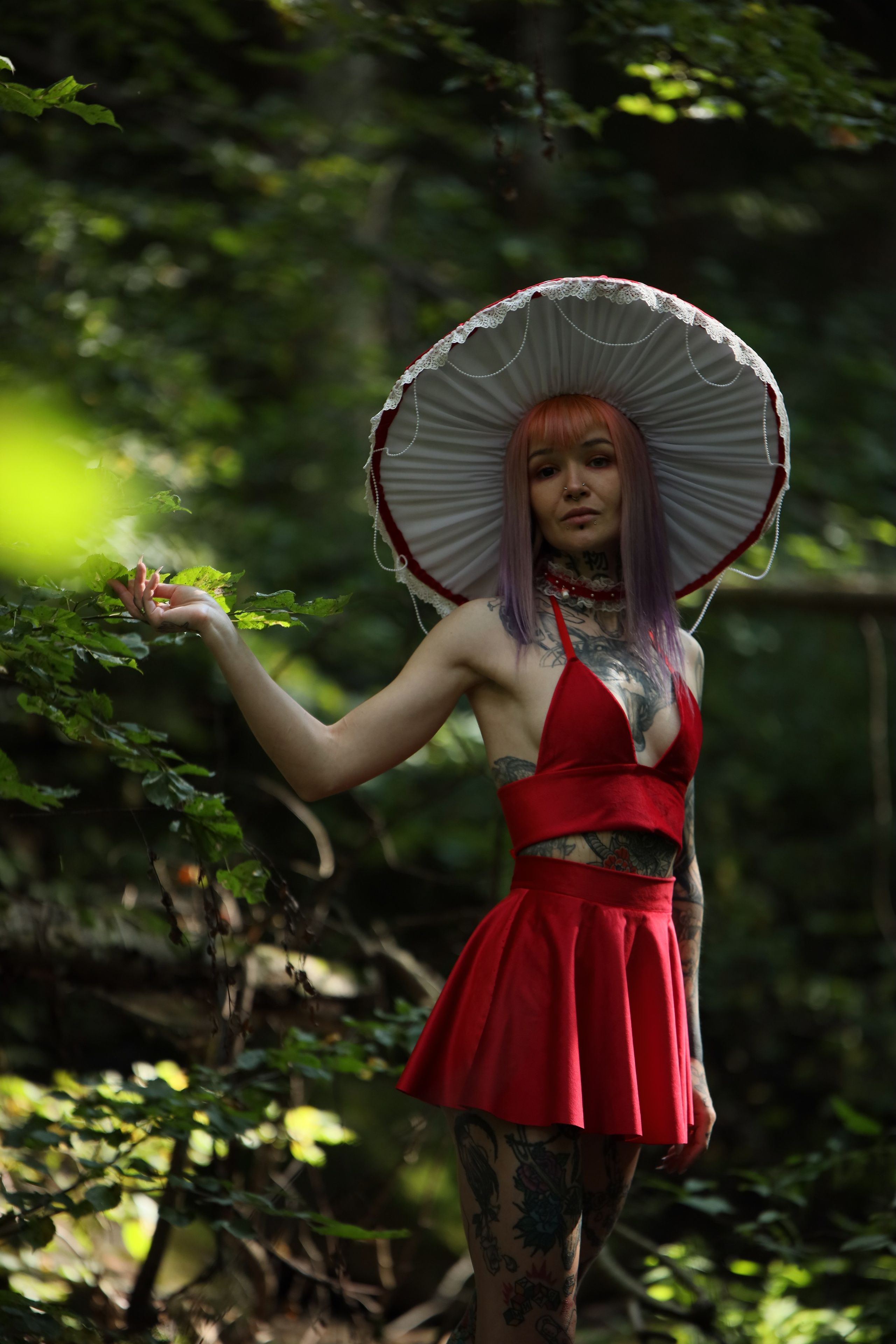 Жизнь гриба. Фотограф Игорь Михайлов