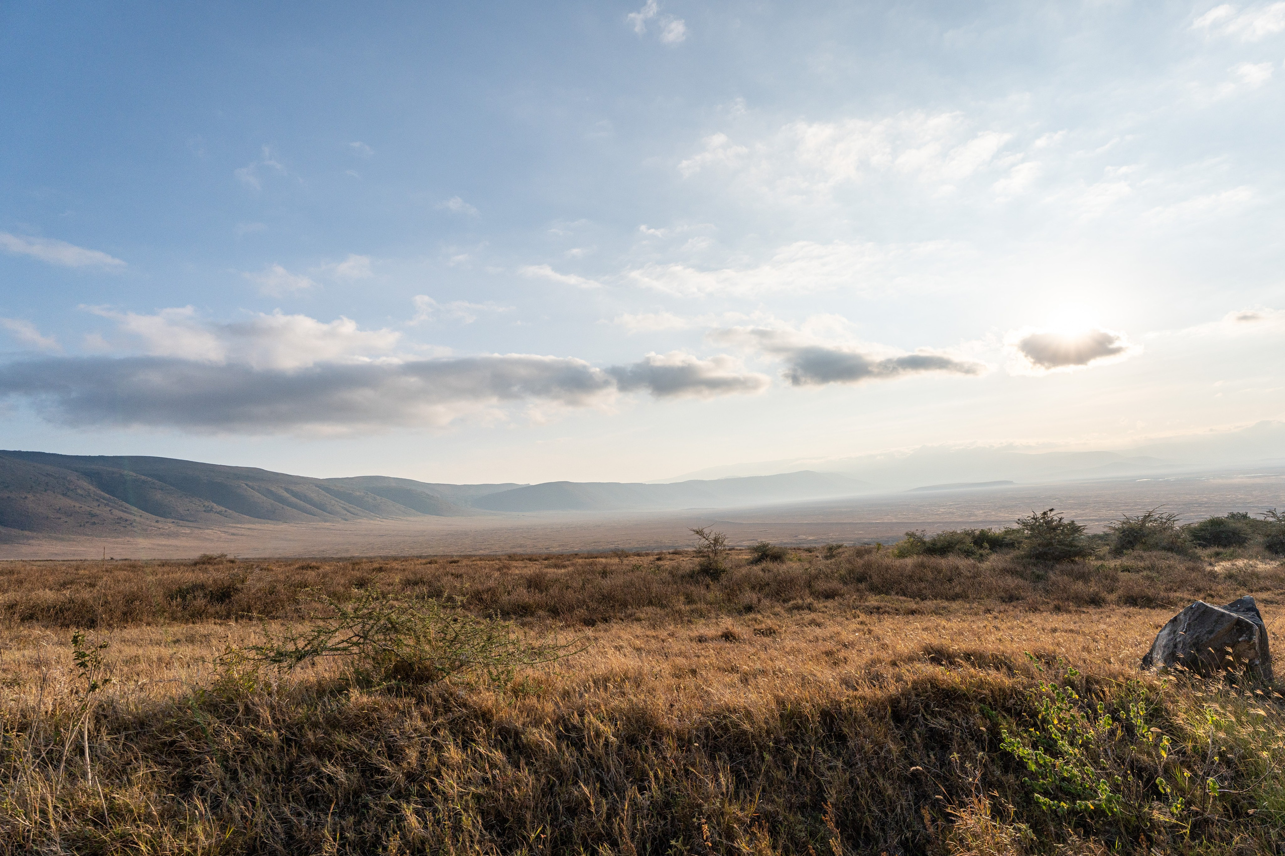 Танзания, сафари, 2025. Творческие сьемки