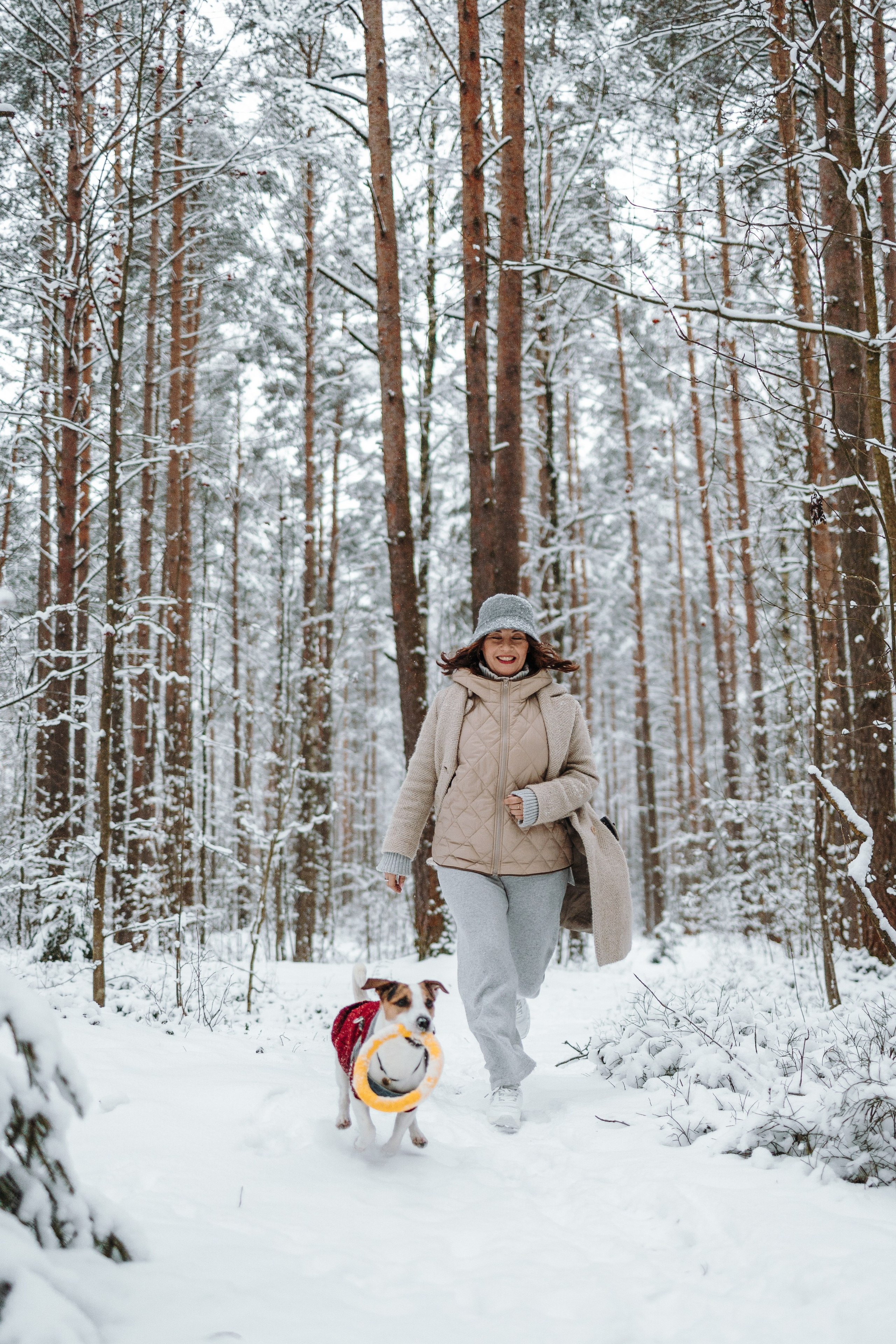 Мики и его семья. Фотограф — Анималист | Санкт-Петербург