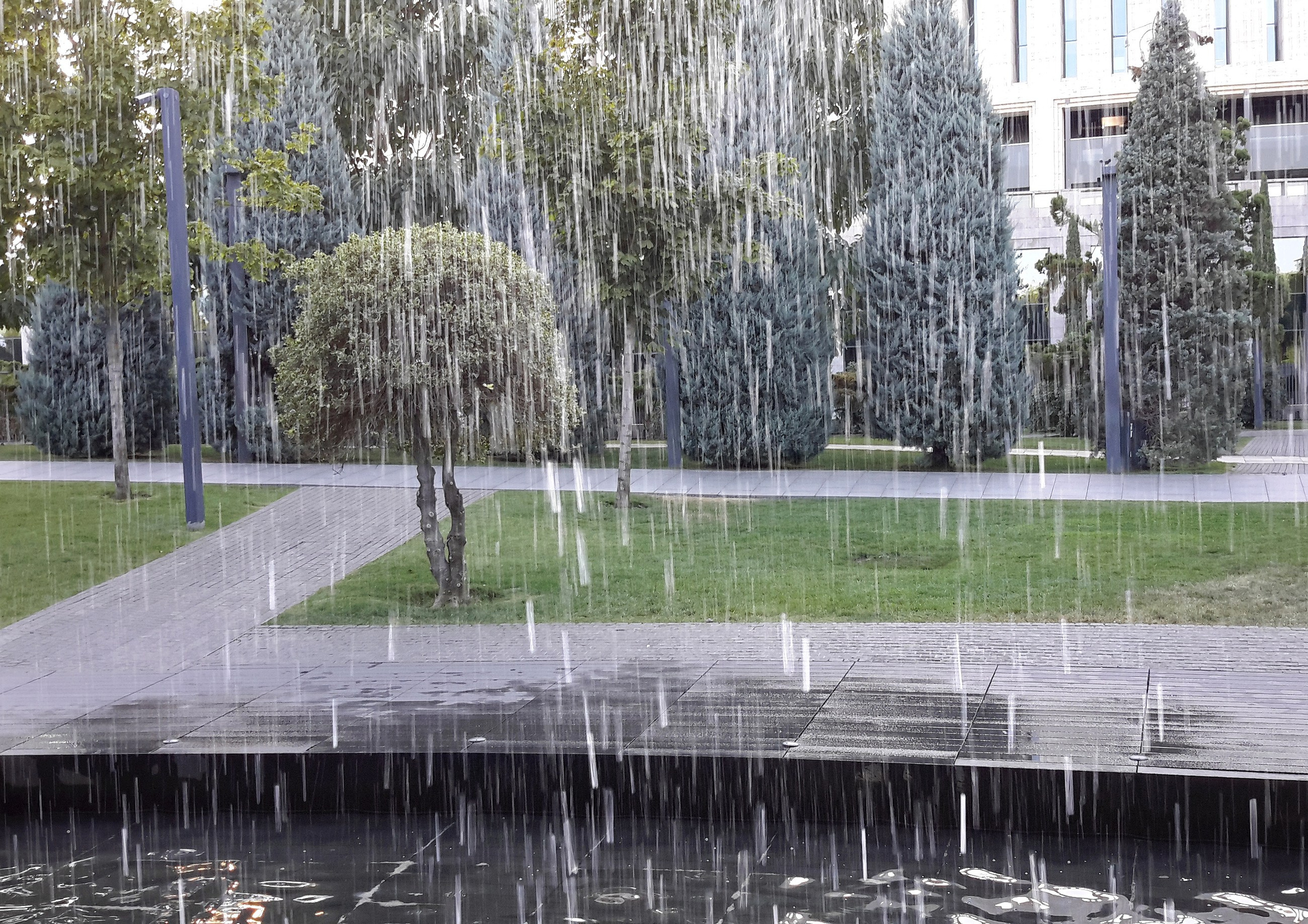 Парк Краснодар (парк Галицкого). Фотограф Славянск на Кубани