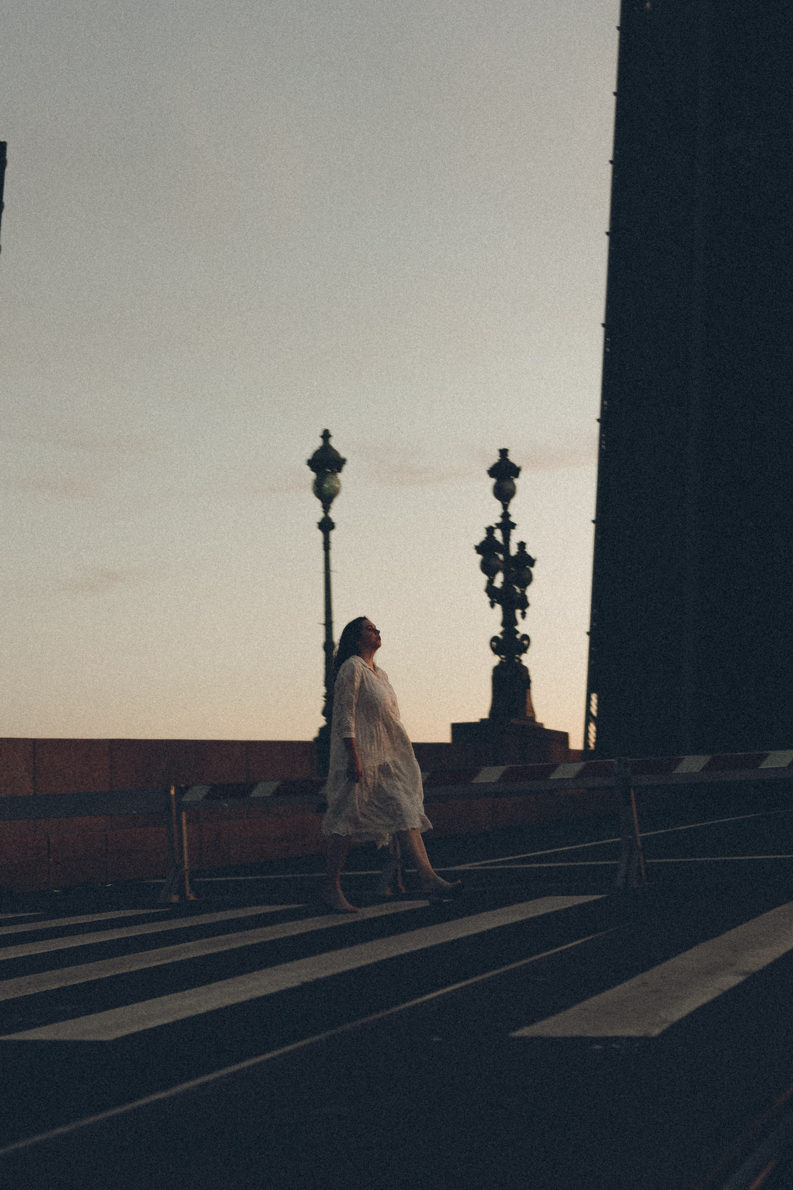 РАССВЕТ С РАЗВОДНЫМИ МОСТАМИ. Профессиональный фотограф, Санкт-Петербург — Виктория Богомолова