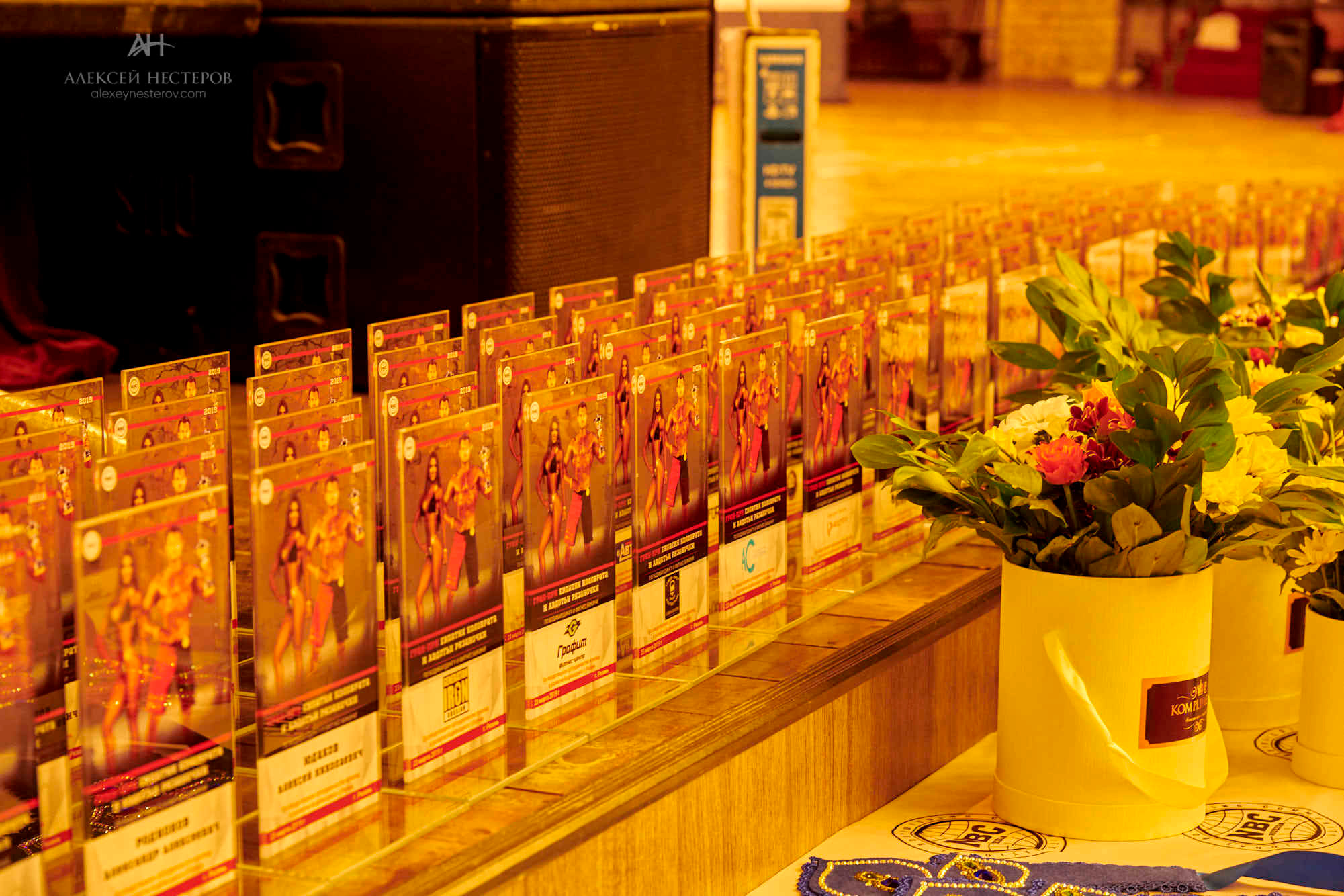 NBC Гран-При Евпатия Коловрата и Авдотьи Рязаночки 23.03.2019. Спортивный фитнес фотограф Алексей Нестеров