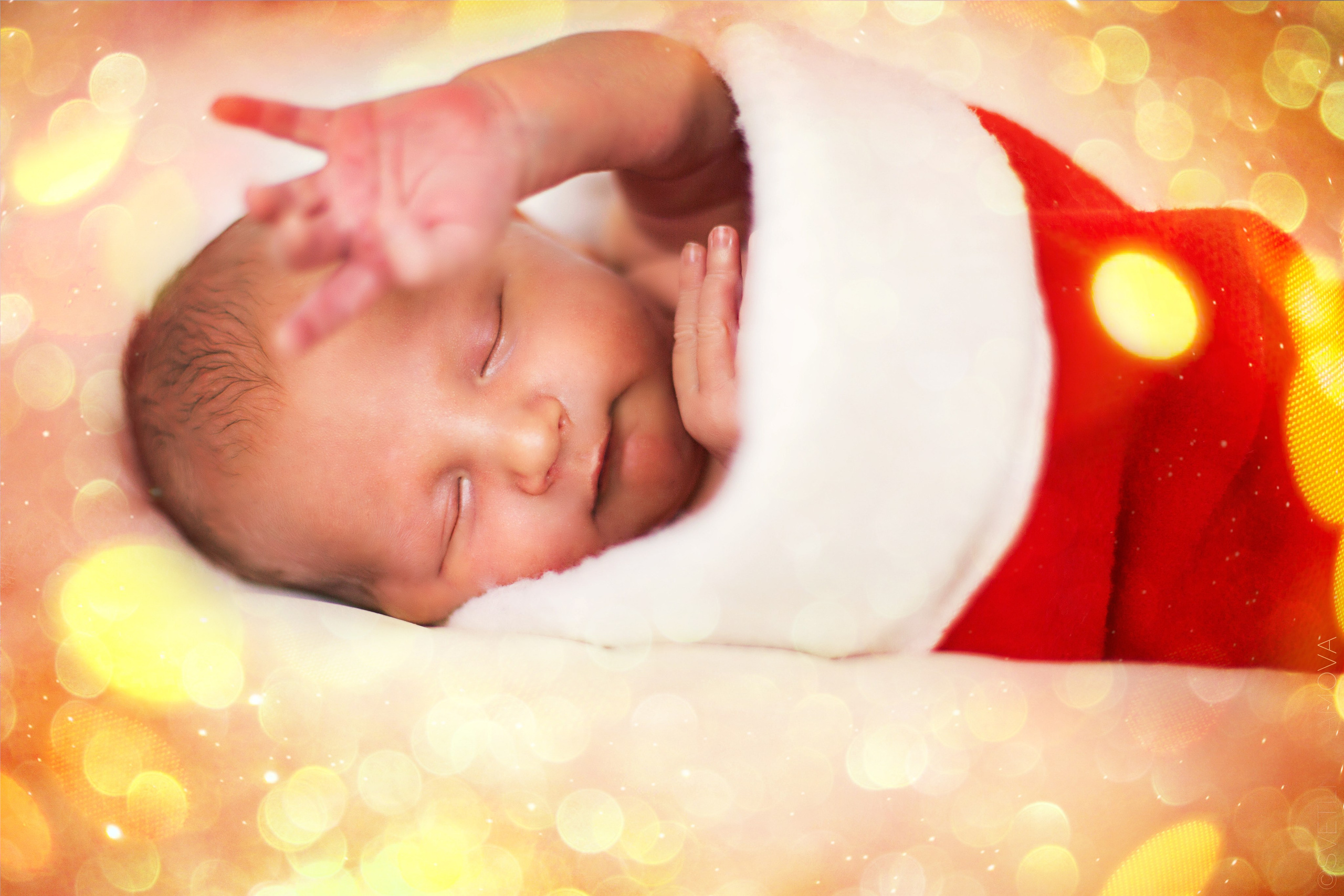 Младенцы. Детский и семейный фотограф в Москве и Подмосковье Светлана Адамова