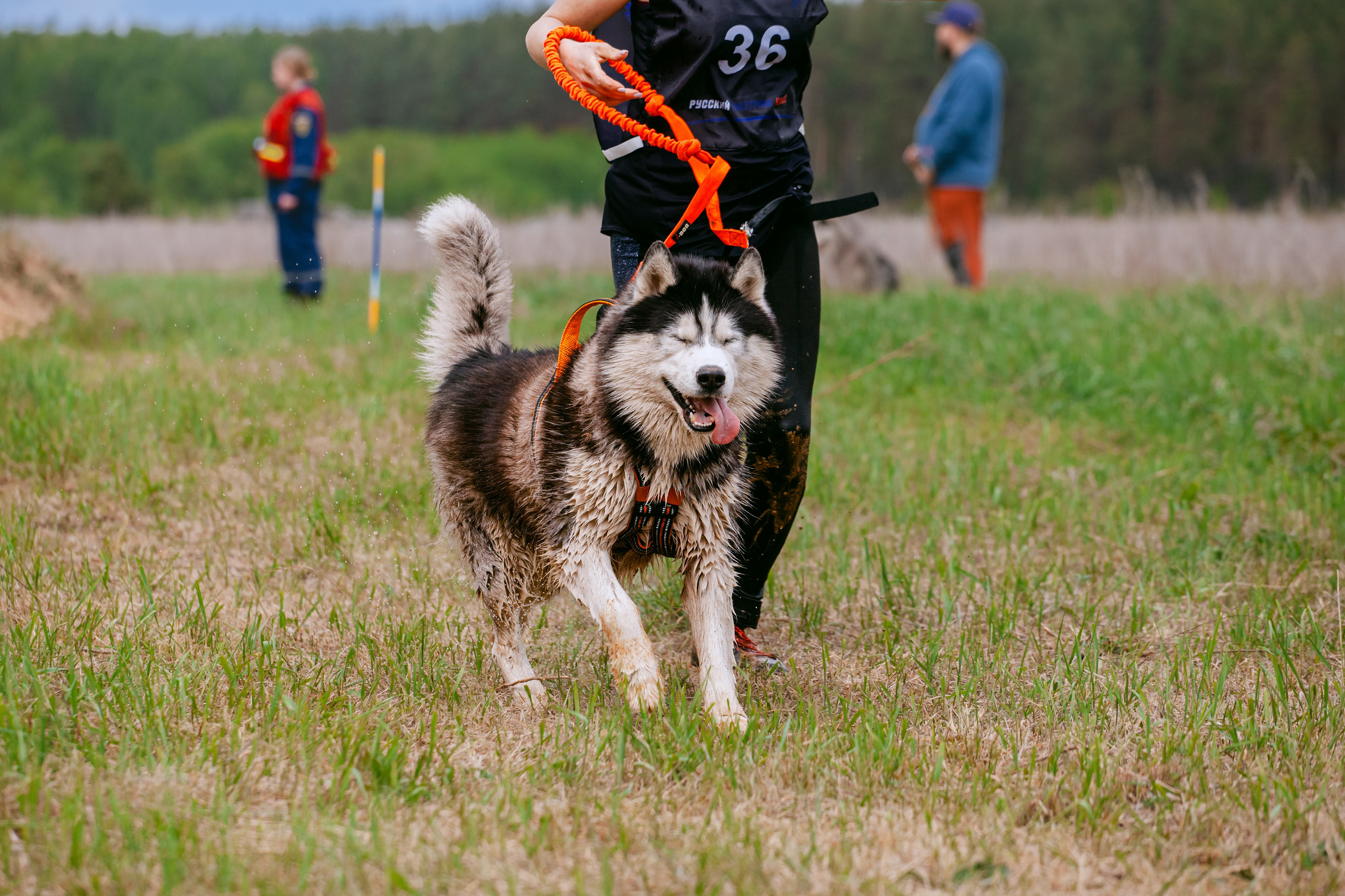 Русский экстрим кросс в Рязанской области 17.05.2025. Фотограф-анималист Татьяна Степанова