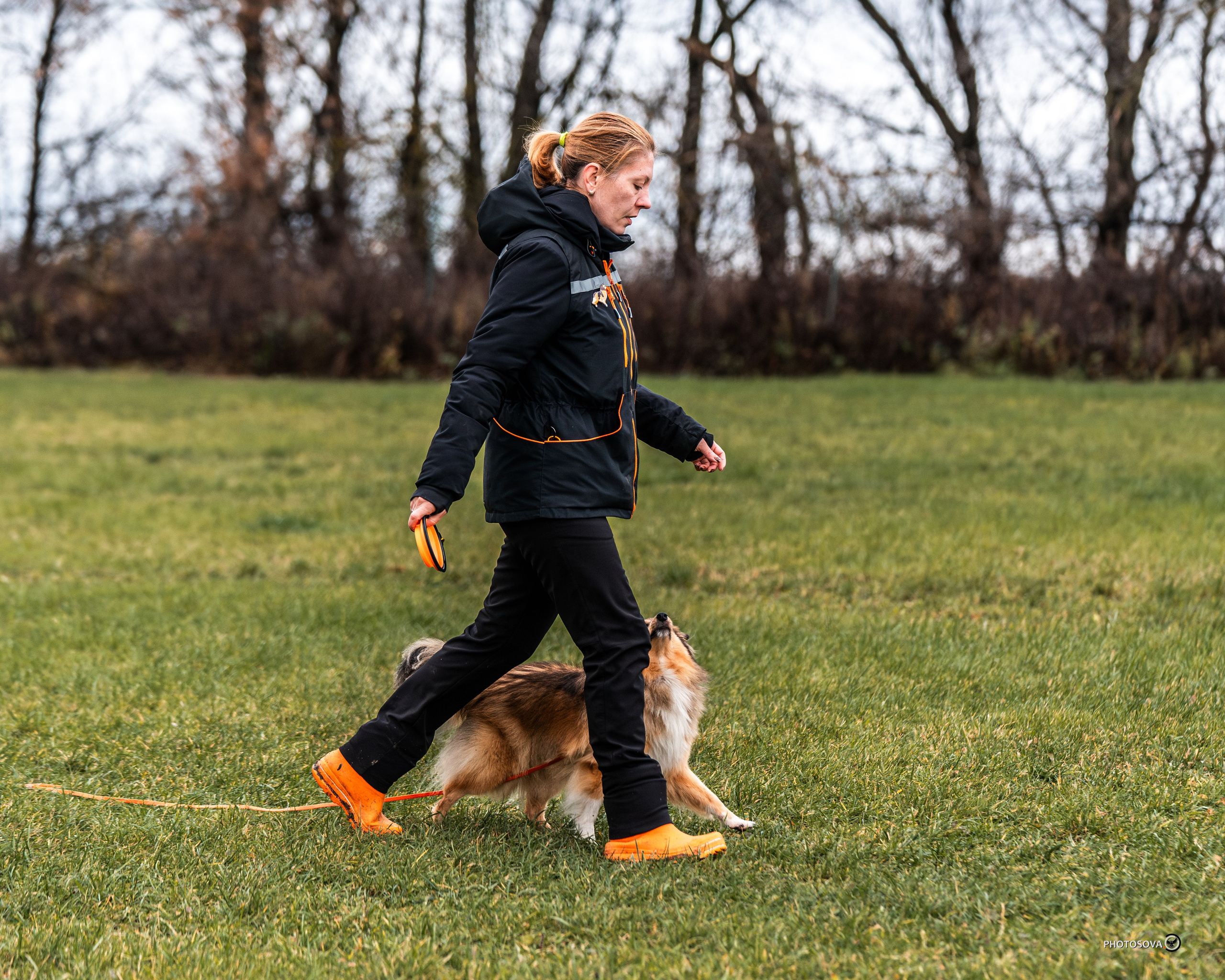 МЫ — КОМАНДА (соревнования) OKD, BH, IBGH, IGP. Фотограф-анималист, семейный фотограф в Москве и Подмосковье. Фотосъёмка кинологических дисциплин