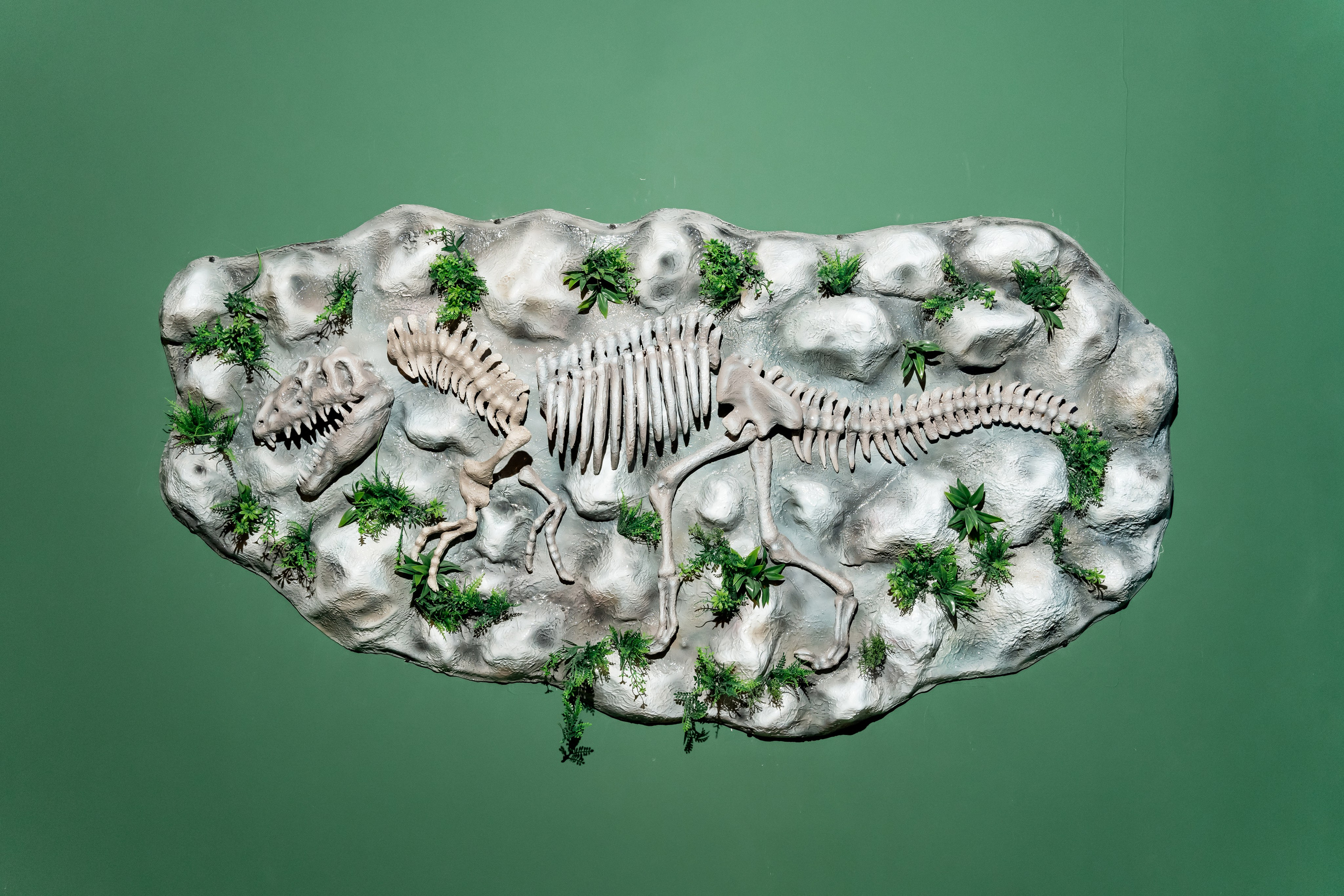 С Днем Рождения, Гена! Остров Discovery