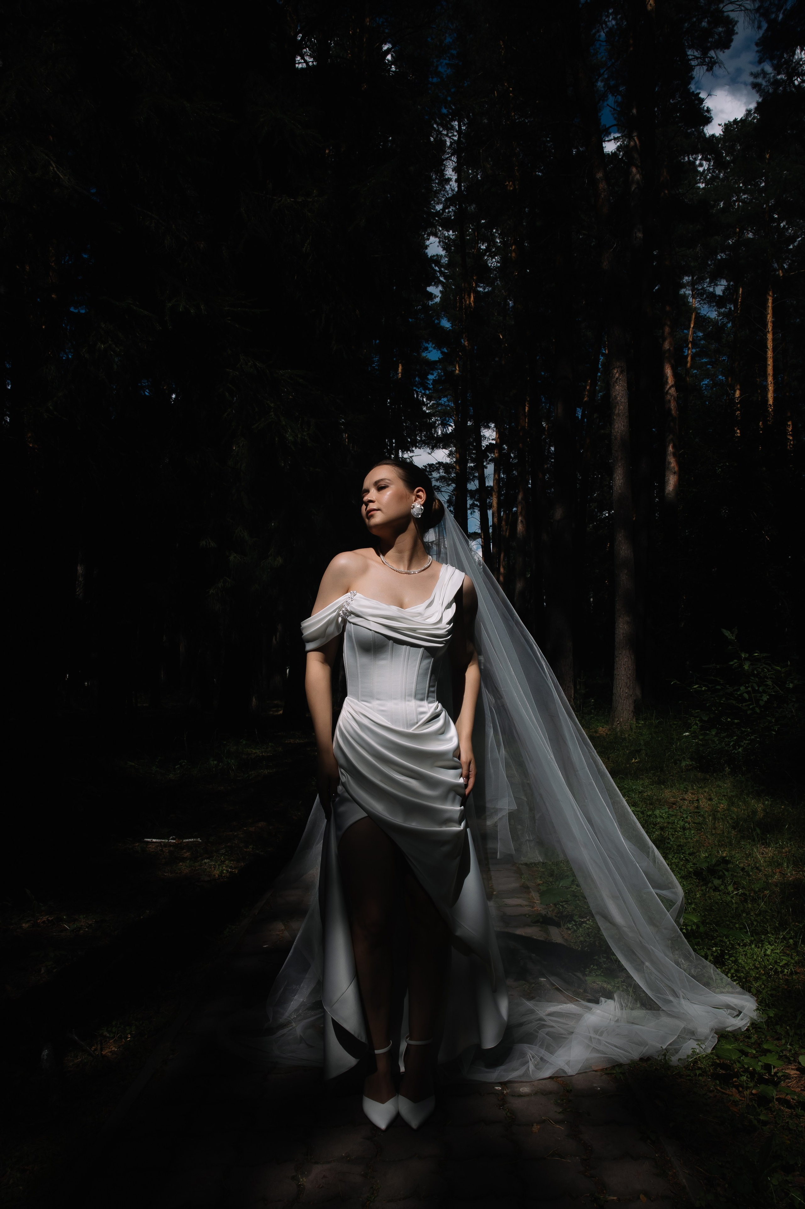 Дмитрий и Елена. Свадебный фотограф и видеограф в Омске — Виталий и Алёна Орлянд