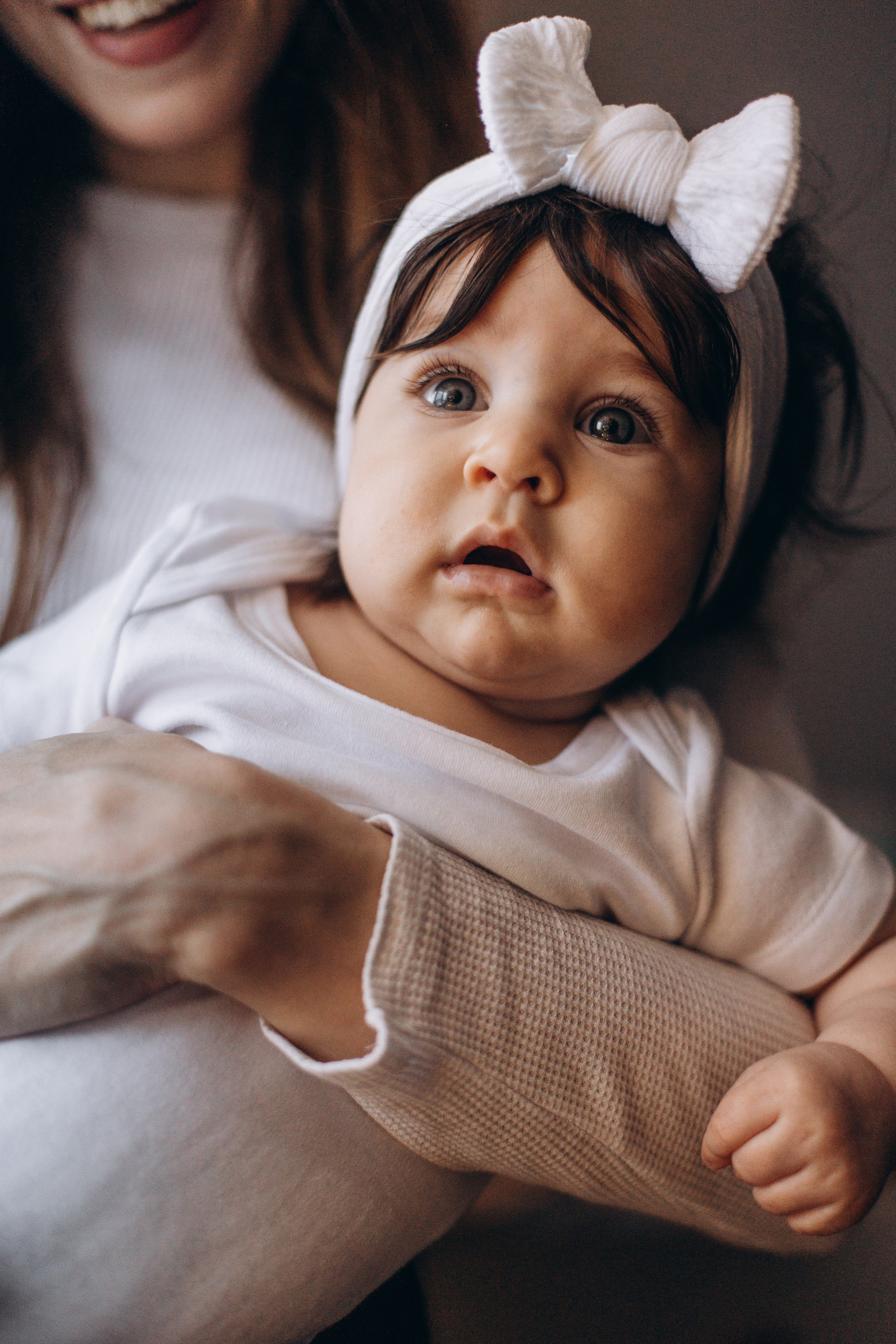 Джой и его семья. Фотограф — Анималист | Санкт-Петербург