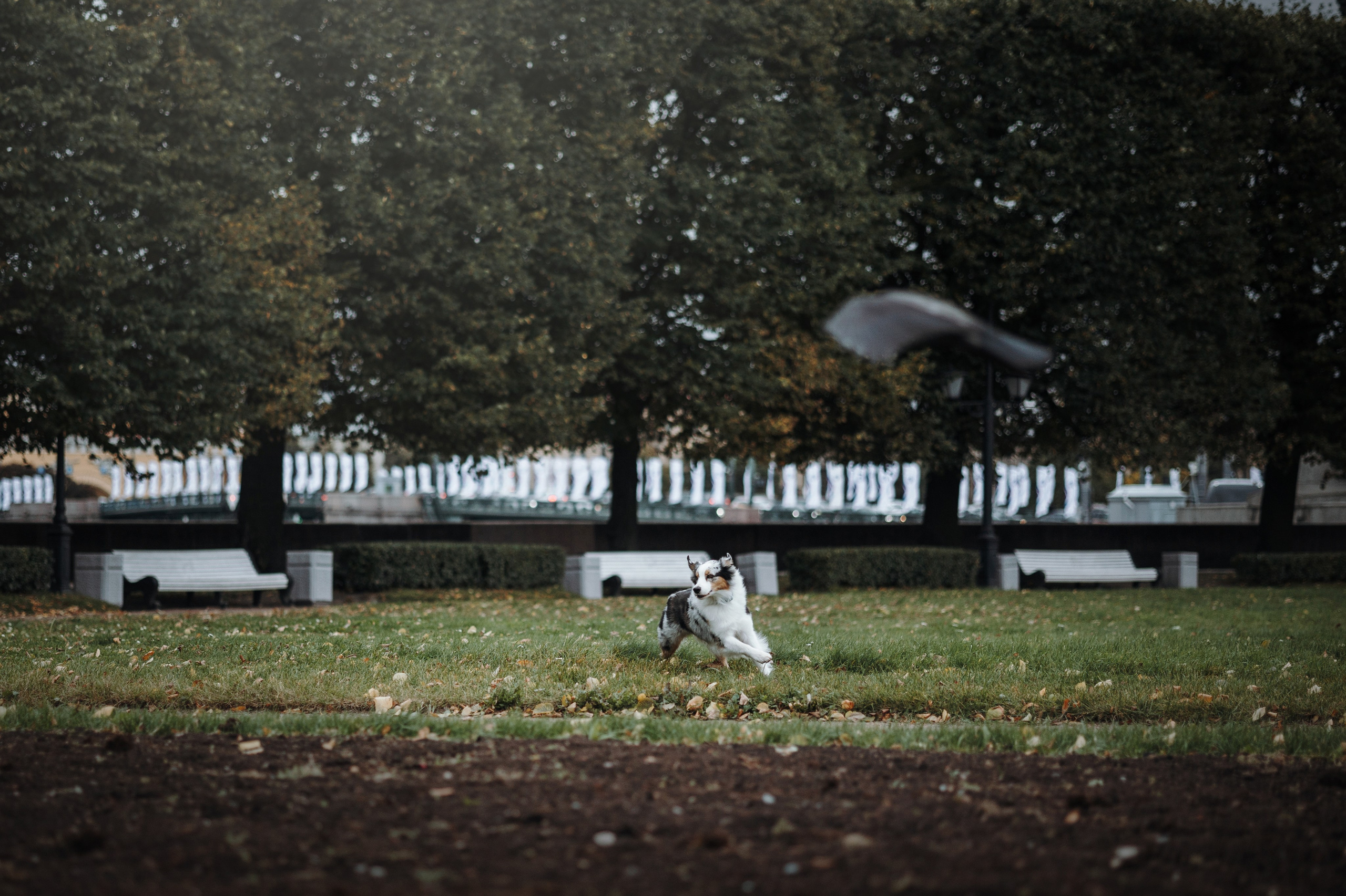 Ирина и Кайса. Фотограф — Анималист | Санкт-Петербург