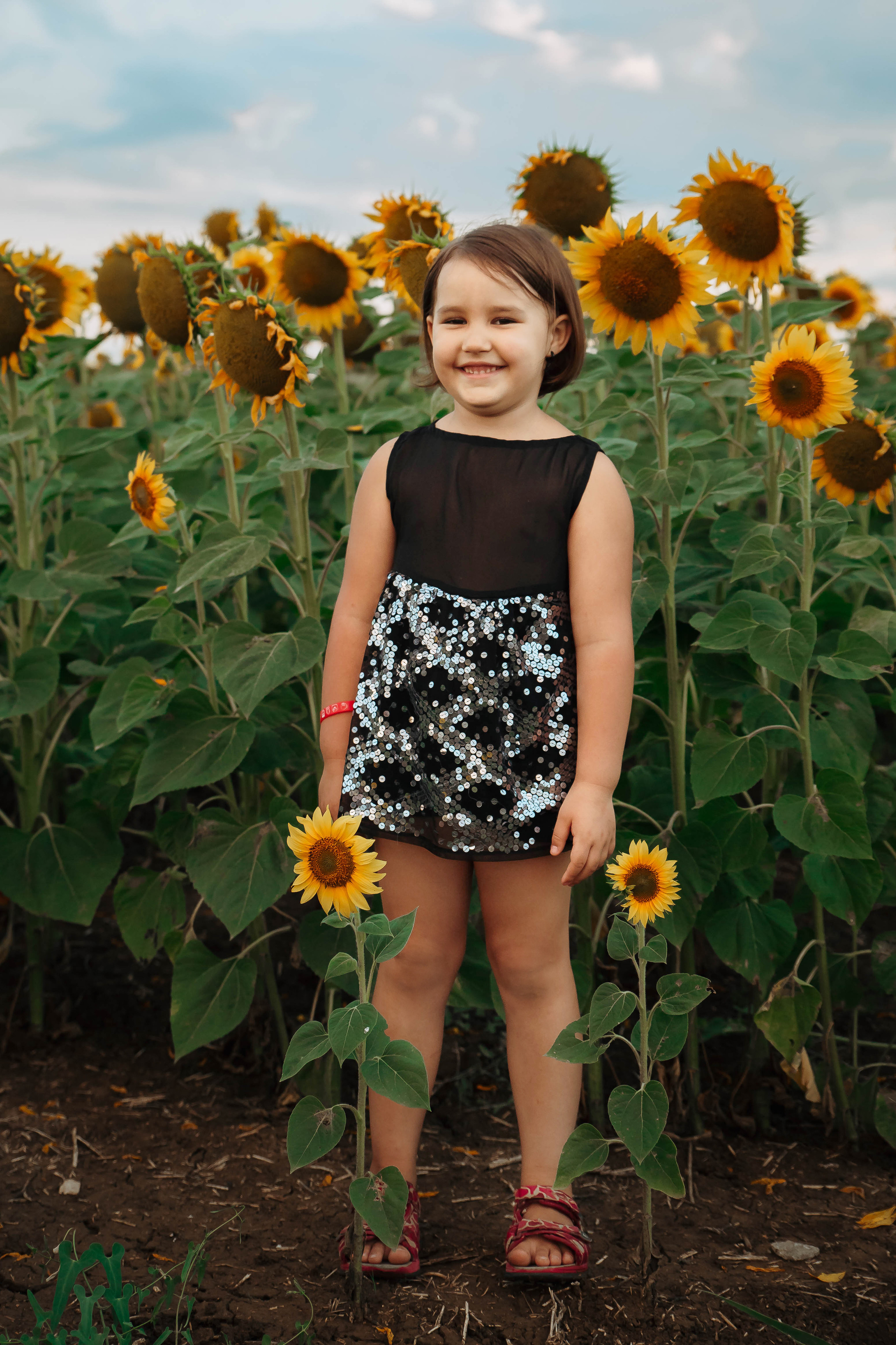 Фотосессия в цветущих полях. Фотограф в Феодосии Наталья Булгакова