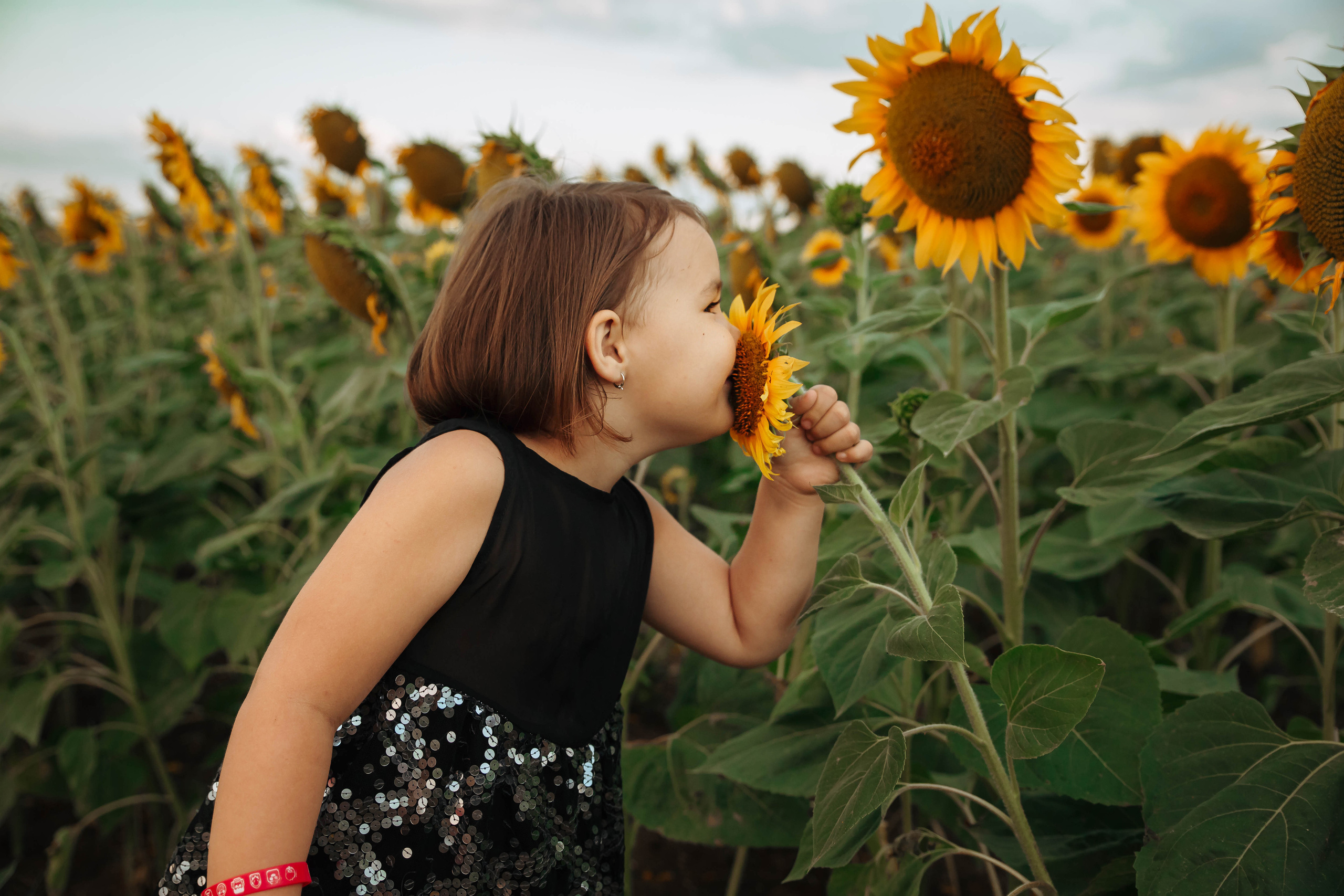 Фотосессия в цветущих полях. Фотограф в Феодосии Наталья Булгакова