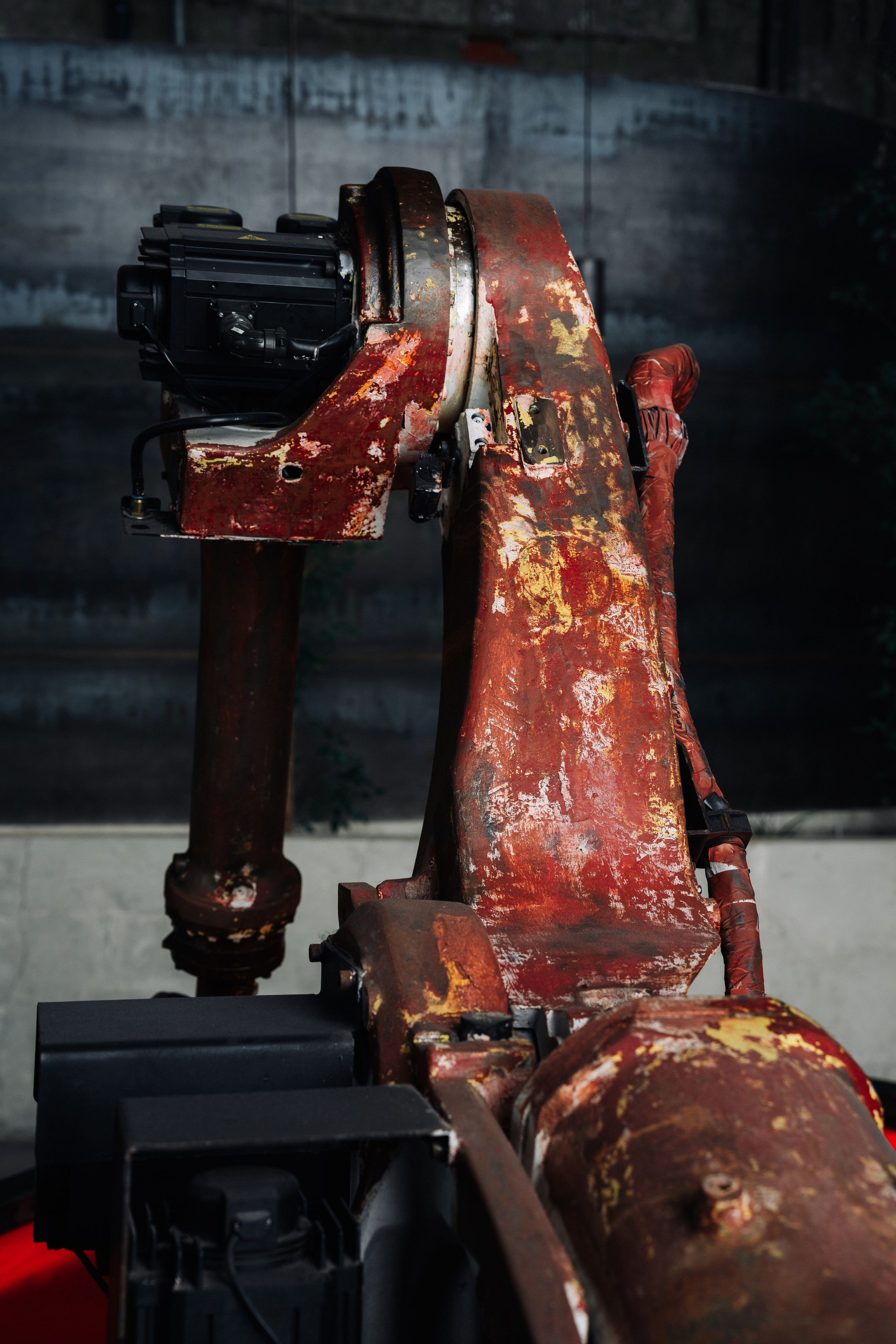 ROBOHALL. @tomrus: Рустам Шагиморданов — фотограф