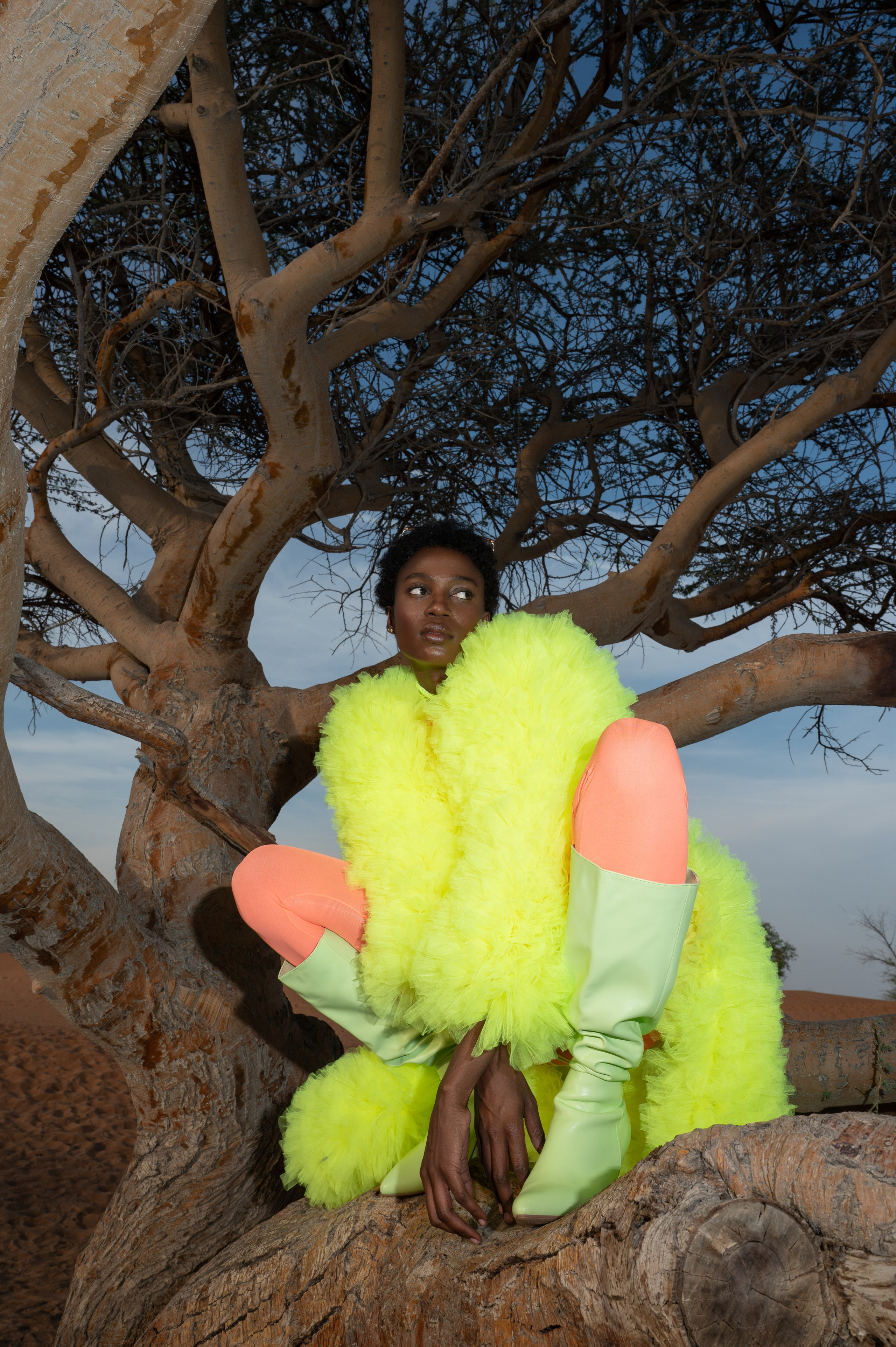 Fairy bird. Коммерческий фотограф Москва /Дубай, эксклюзивные фэшн фотосессии