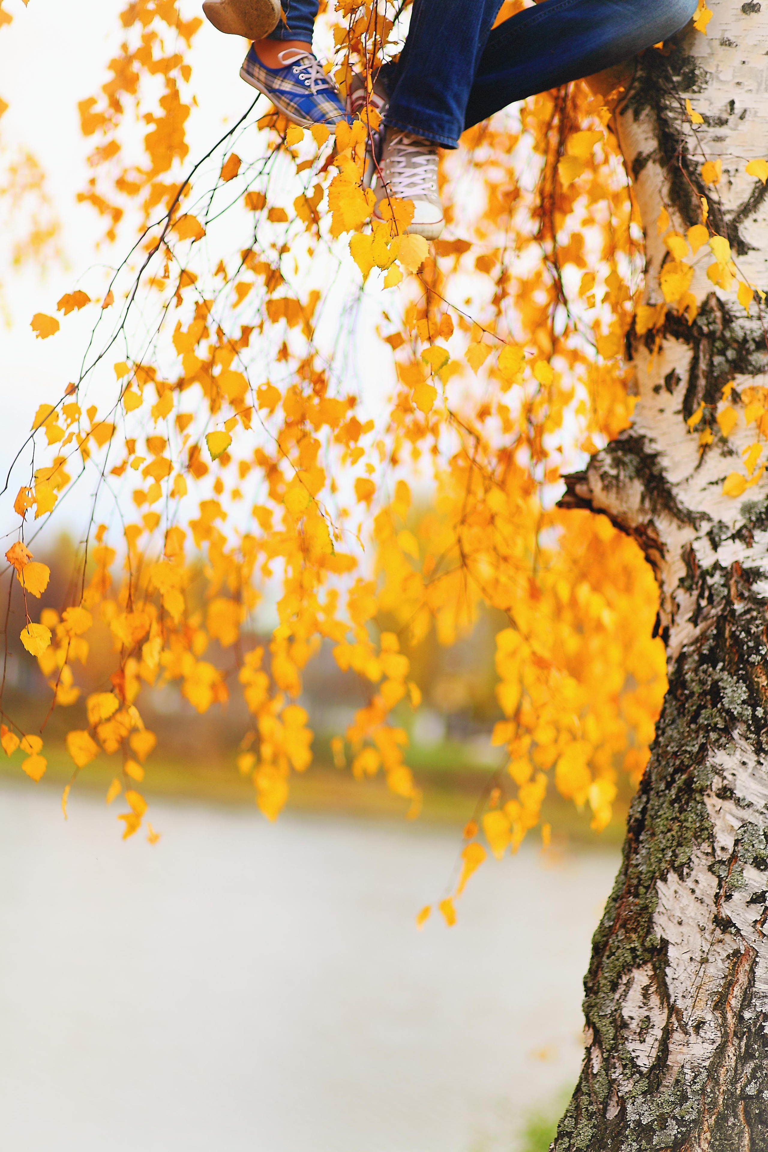 Досвадебные любовные истории или Love — story. Свадебный и репортажный фотограф в Ярославле и Санкт-Петербурге Роман Микрюков