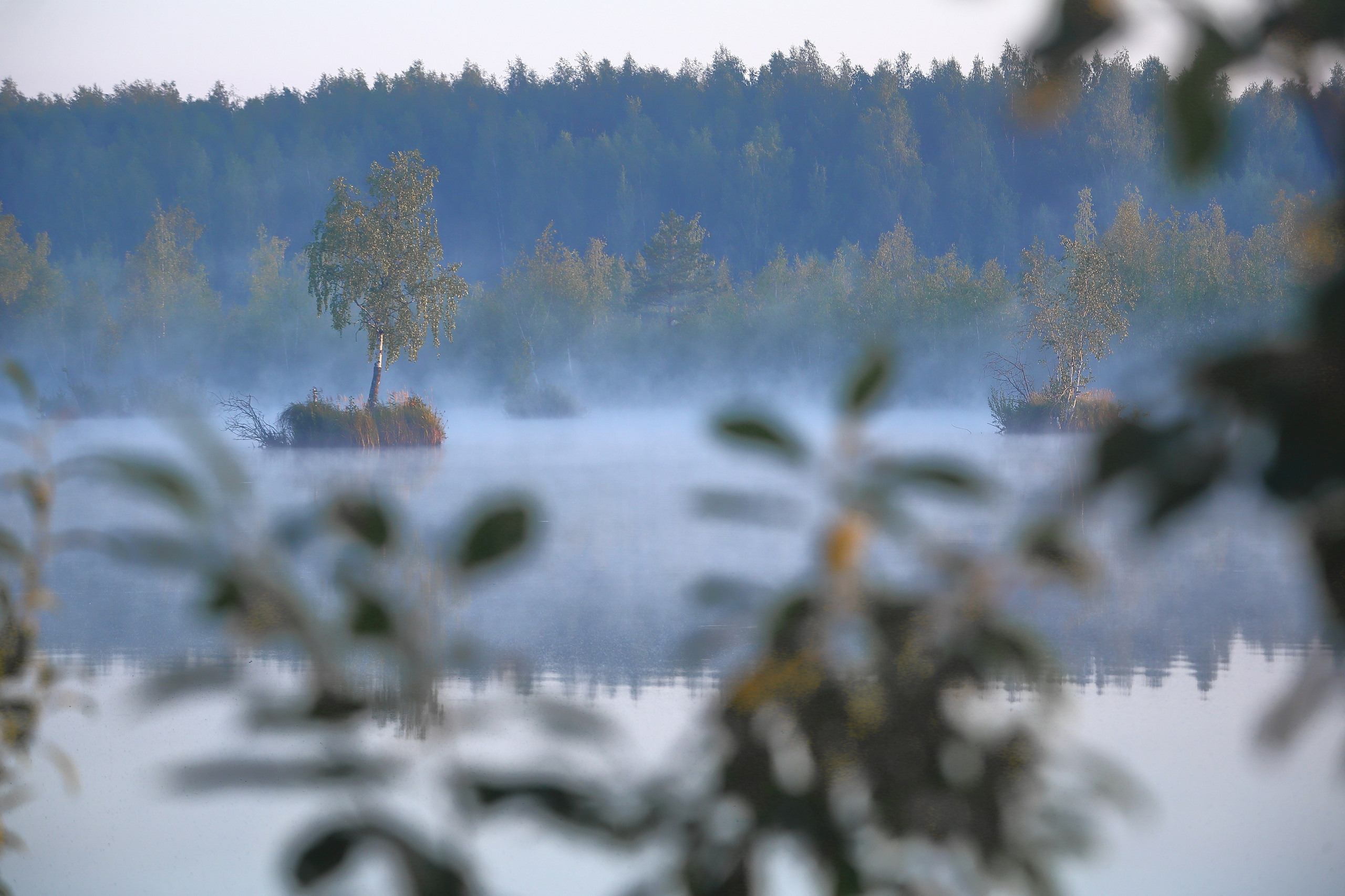 Туманным утром. Свадебный и репортажный фотограф в Ярославле и Санкт-Петербурге Роман Микрюков