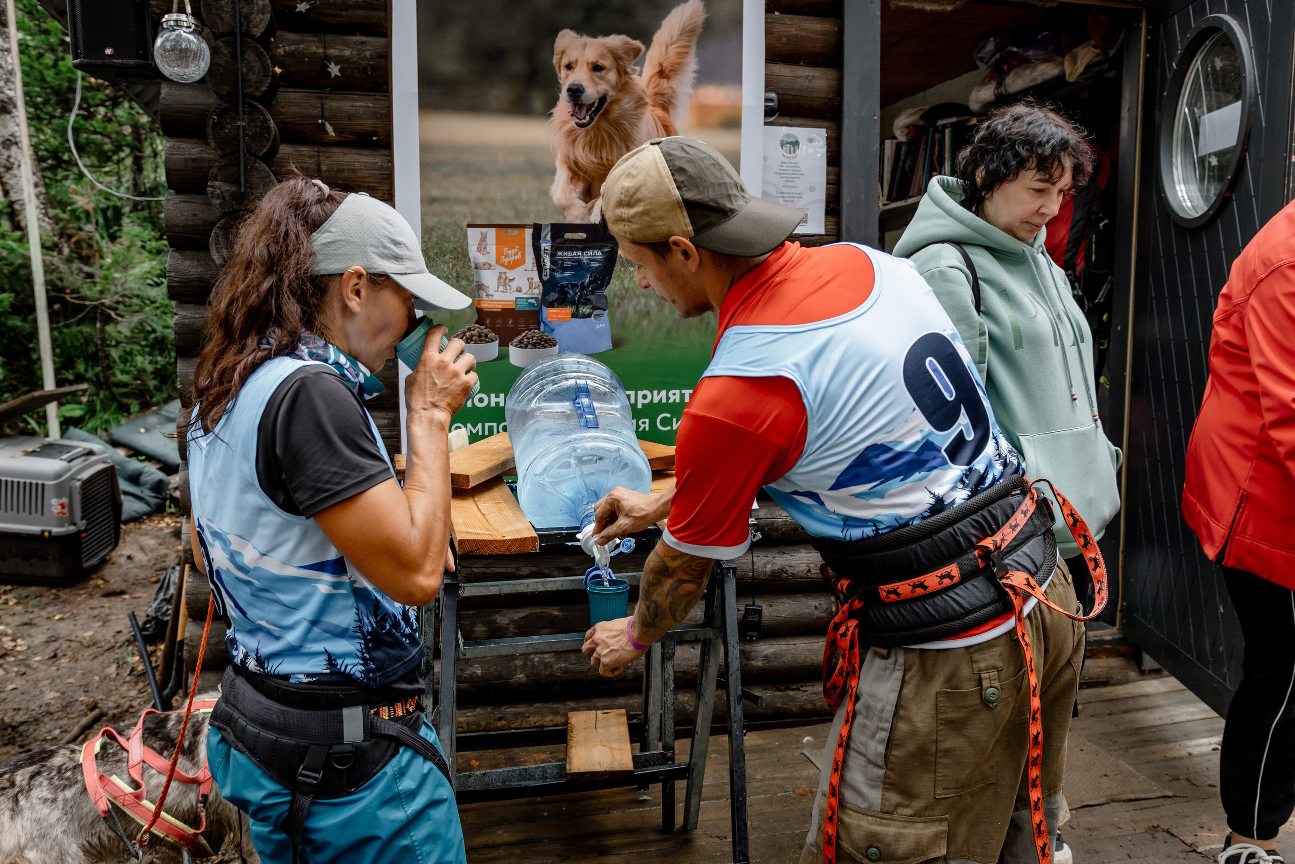 Дог-треккинг