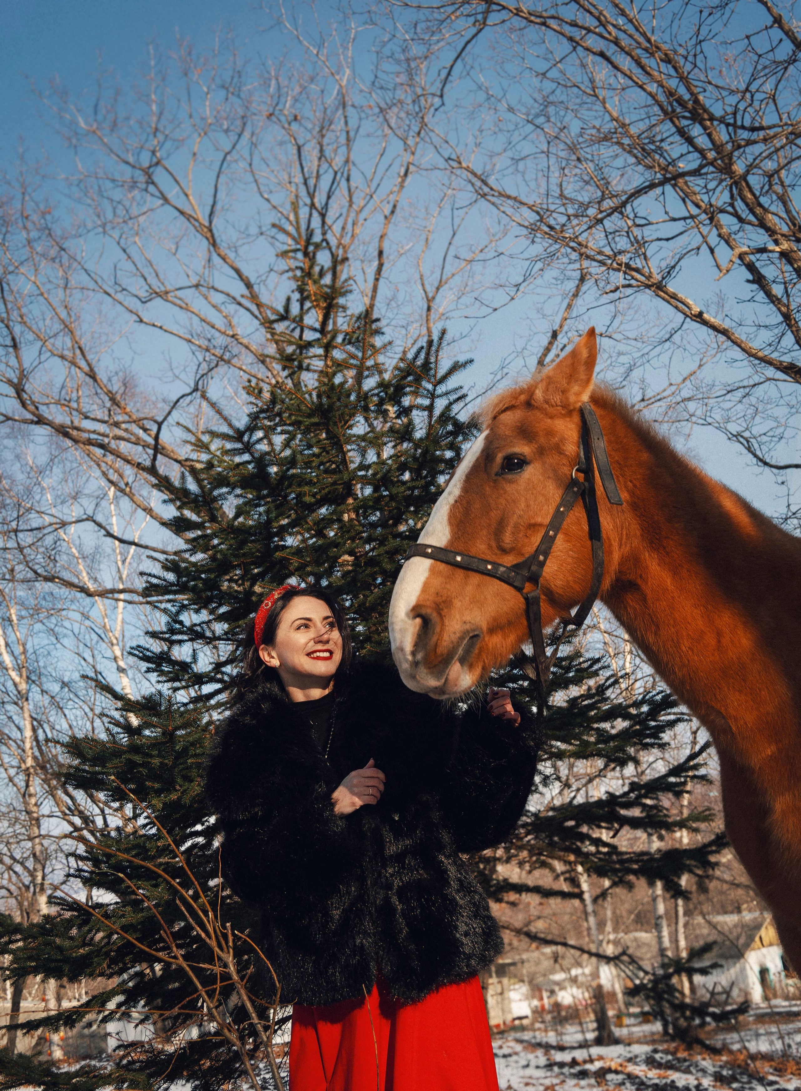 Фотодень «Символ 2026 года». Семейный фотограф анималист г. Находка