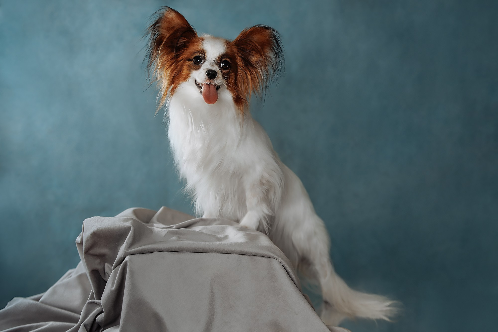 Синева. О нас