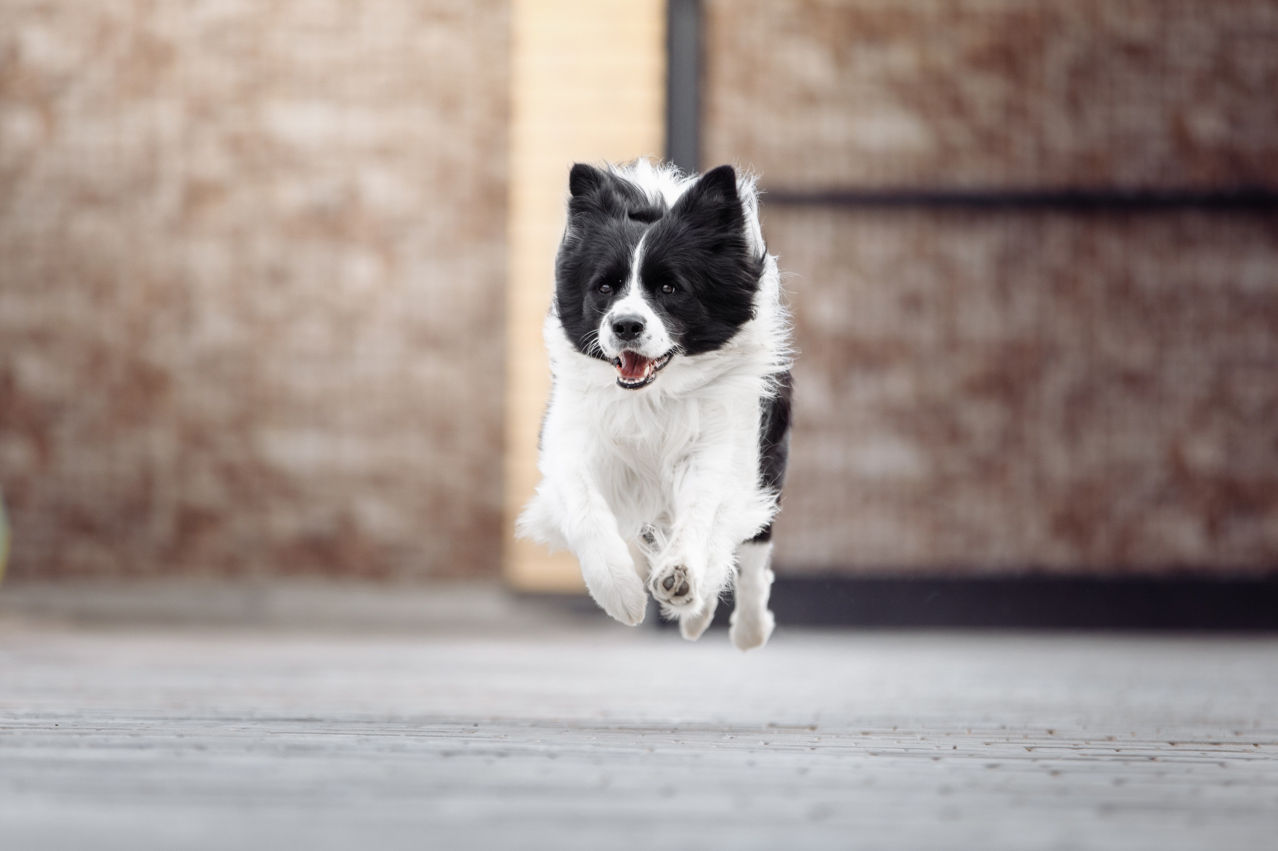 Свое место. О нас