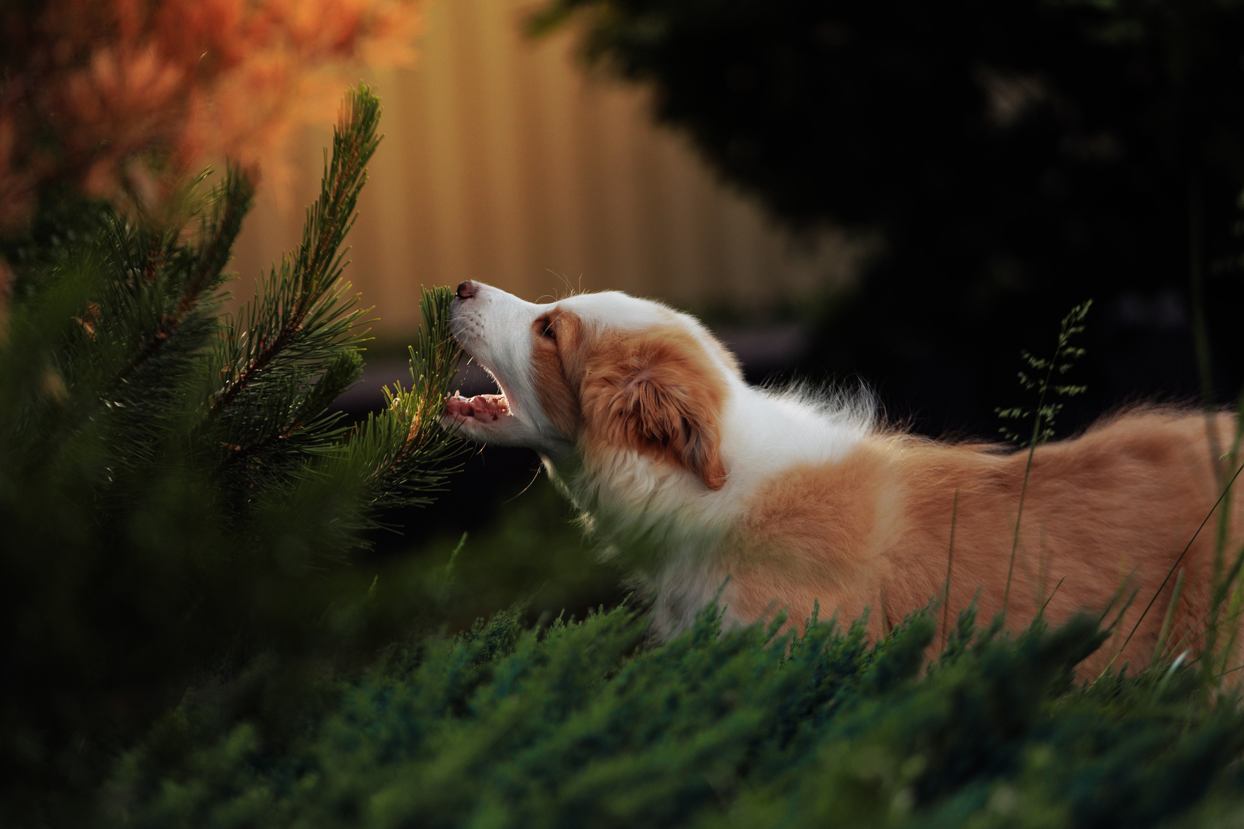 СОлнечные. О нас