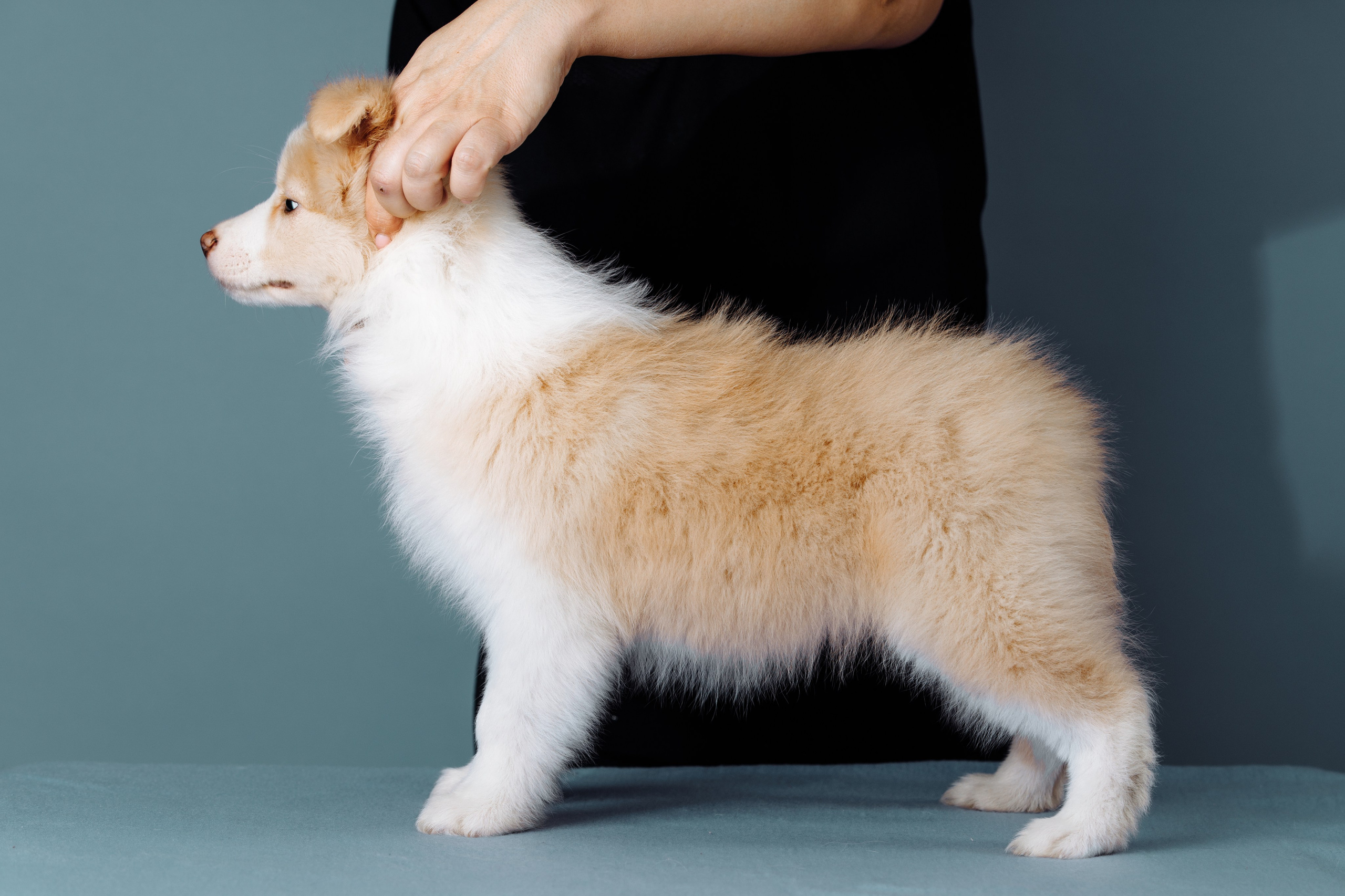 Март. Весна. 22. О нас