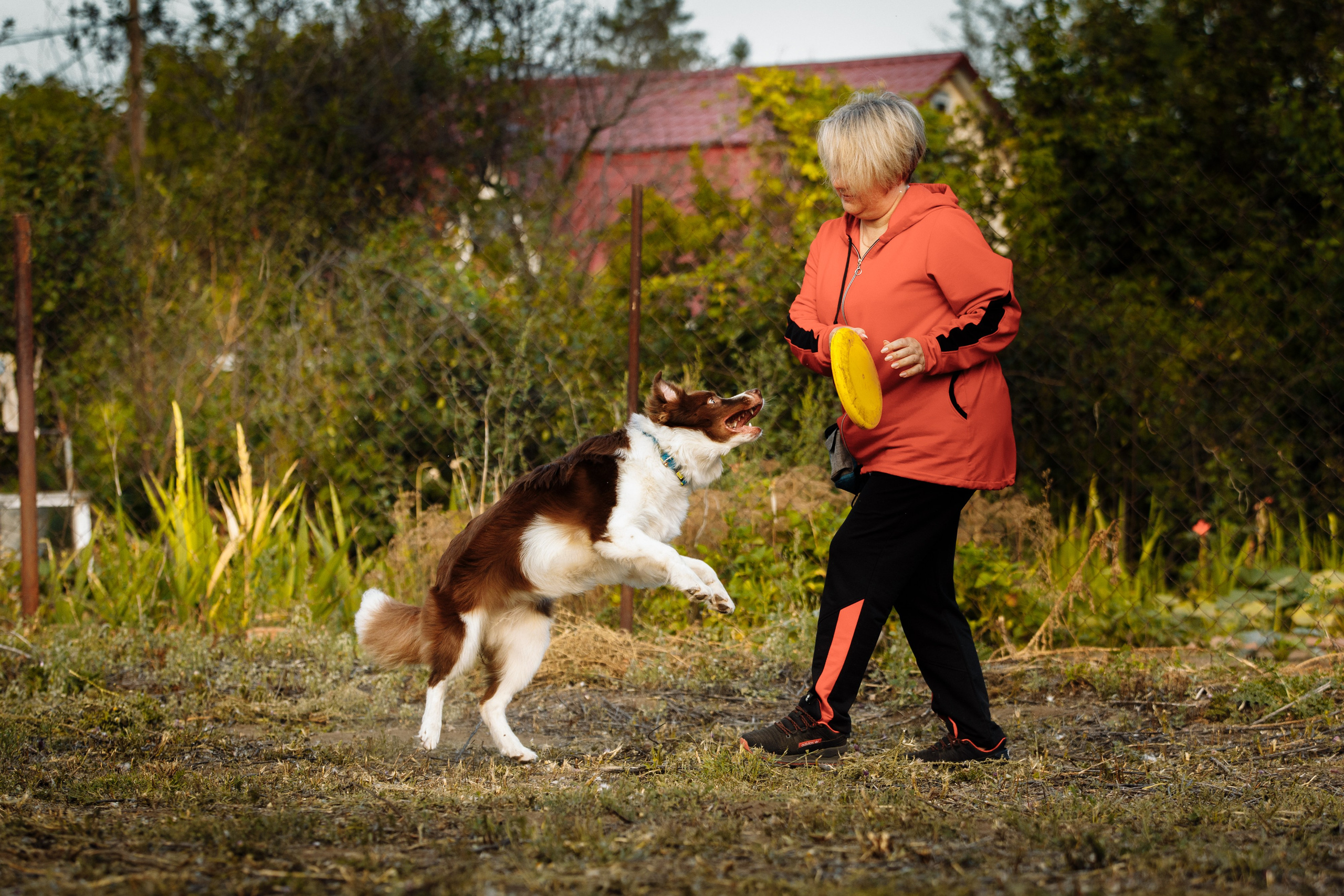 Овечий день. О нас