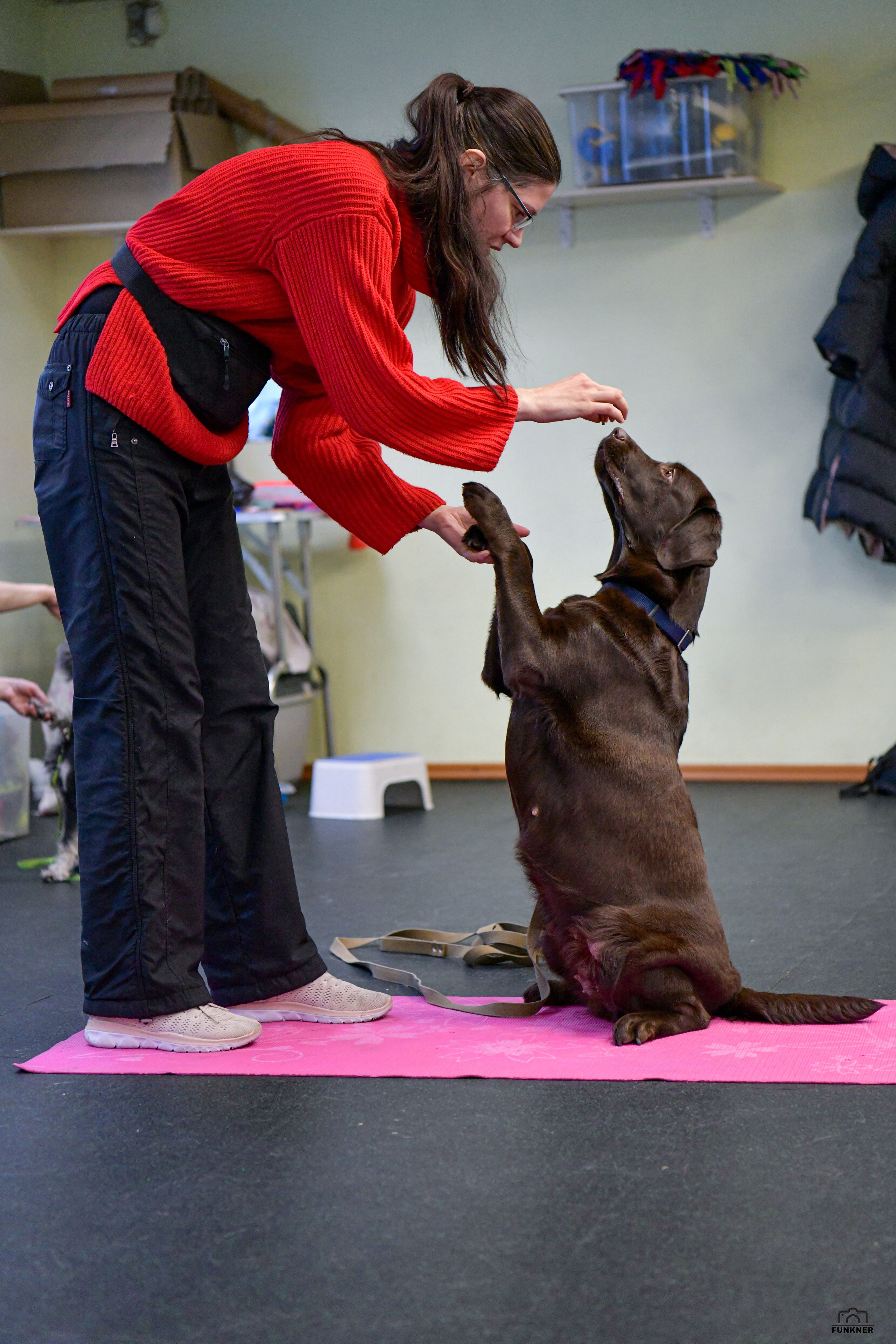 Кинологический клуб «Бодрый хвост». Свой взгляд через объектив