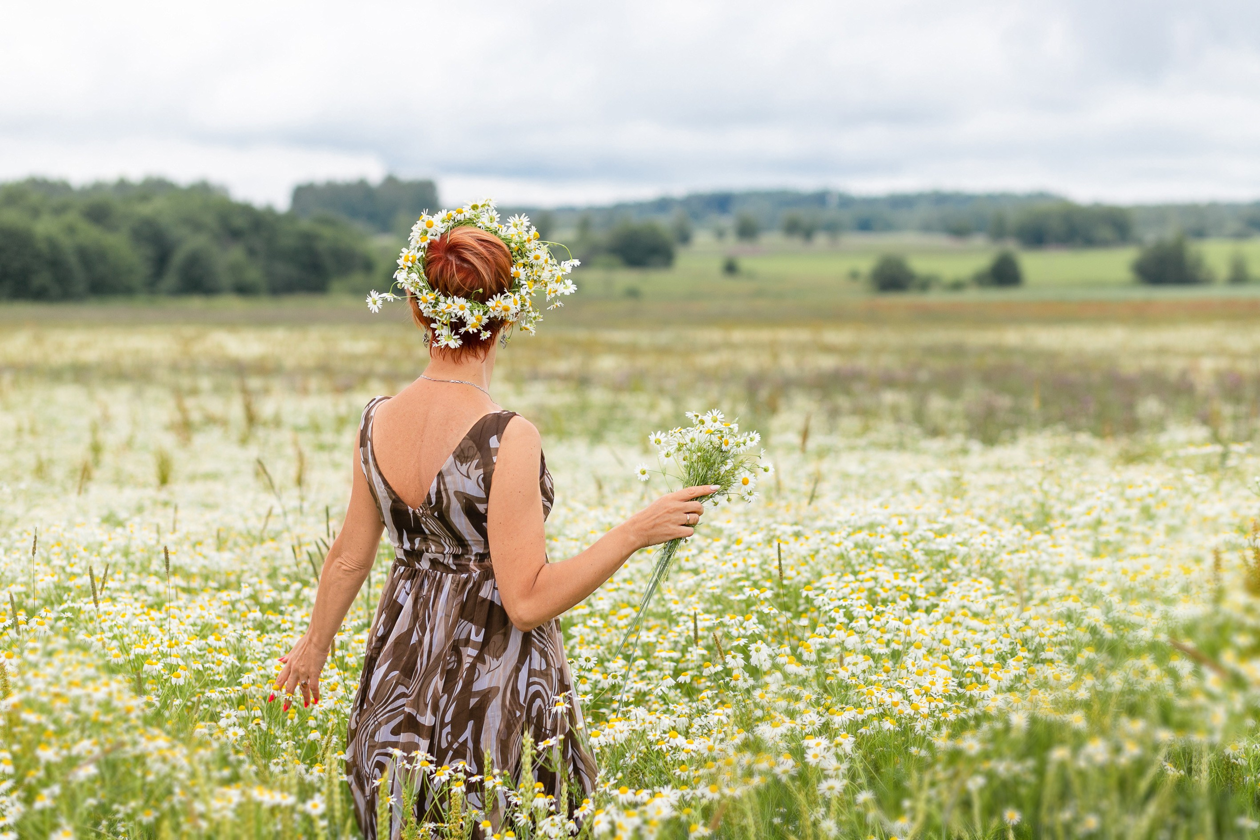 Ромашковый бриз