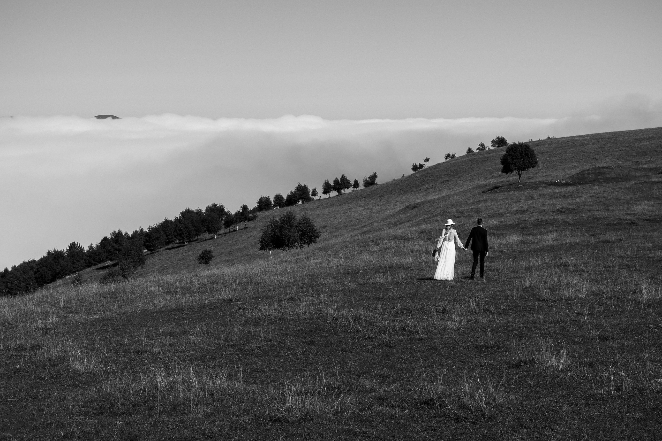 Наталья и Ярослав. Свадебный и семейный фотограф Харольцева Наталья