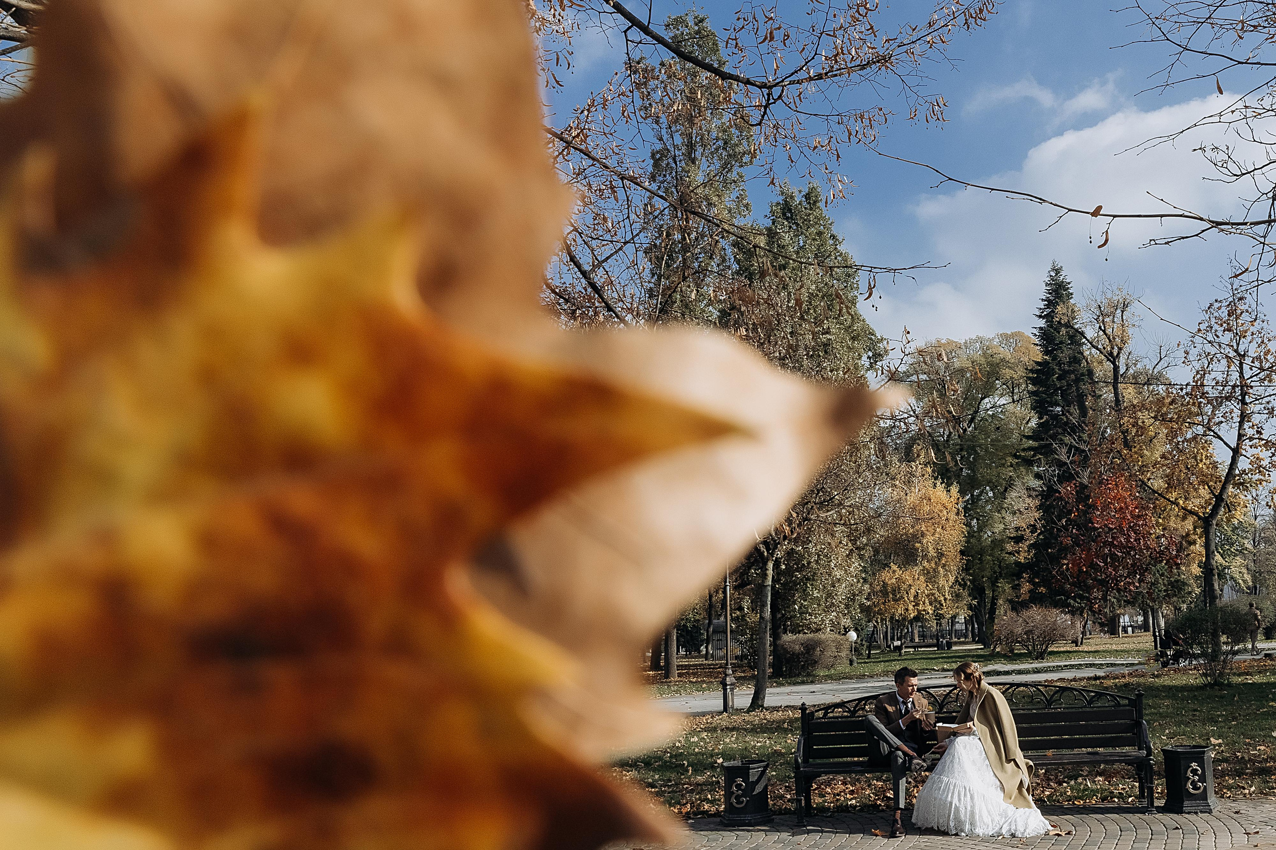Алексей и Александра. Свадебный и семейный фотограф Харольцева Наталья