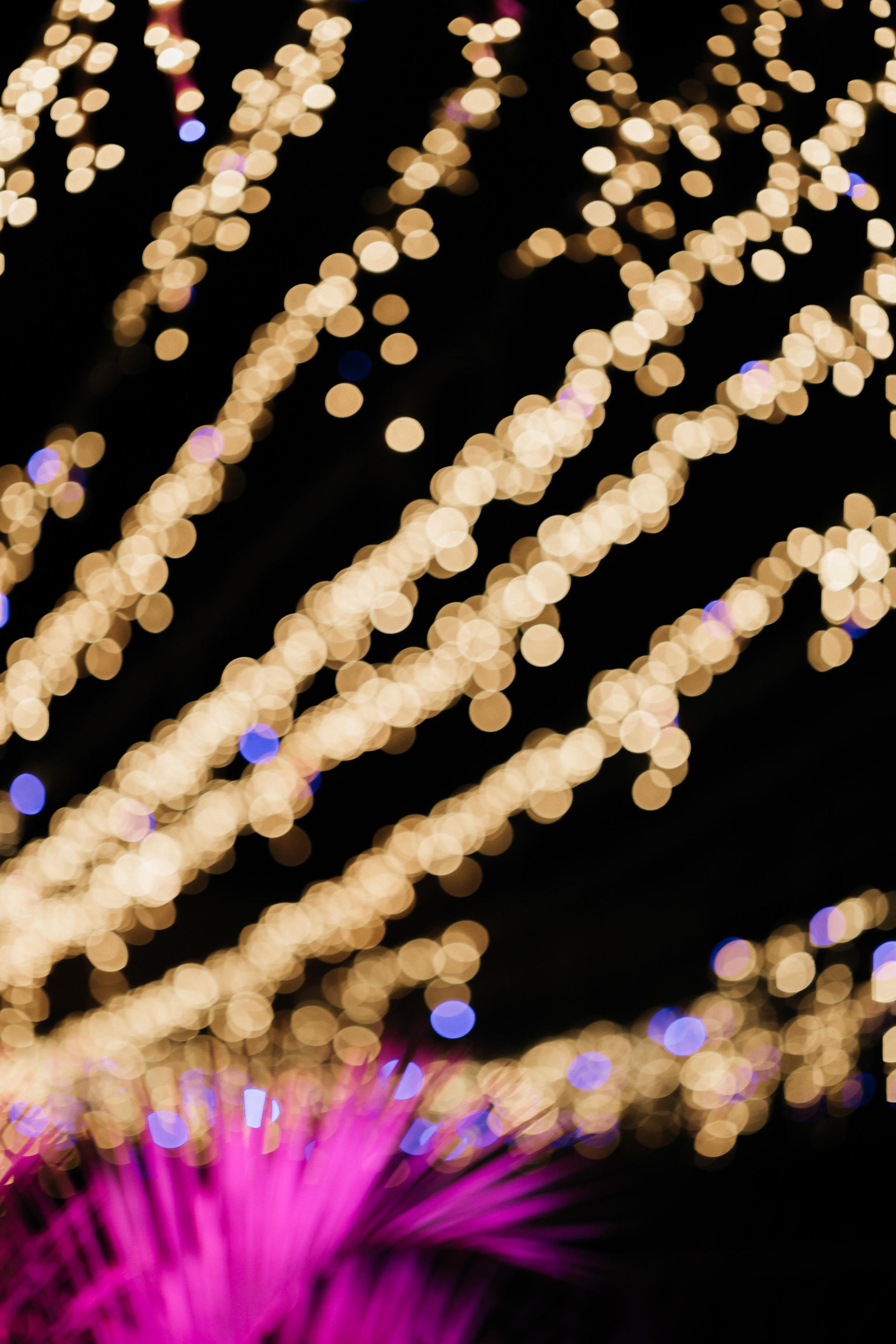 Кирилл и Мария. Свадебный и семейный фотограф Харольцева Наталья