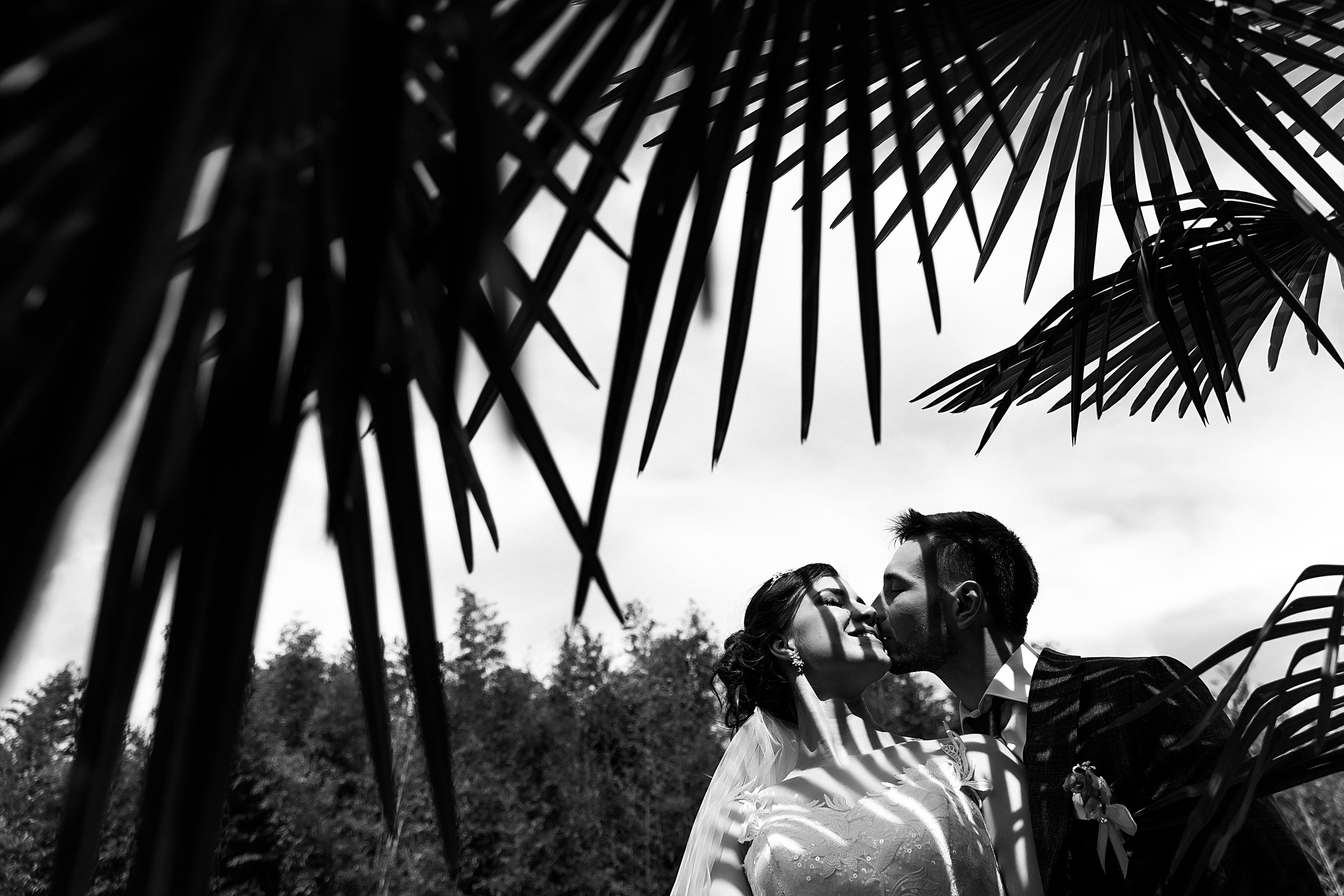 Кирилл и Мария. Свадебный и семейный фотограф Харольцева Наталья