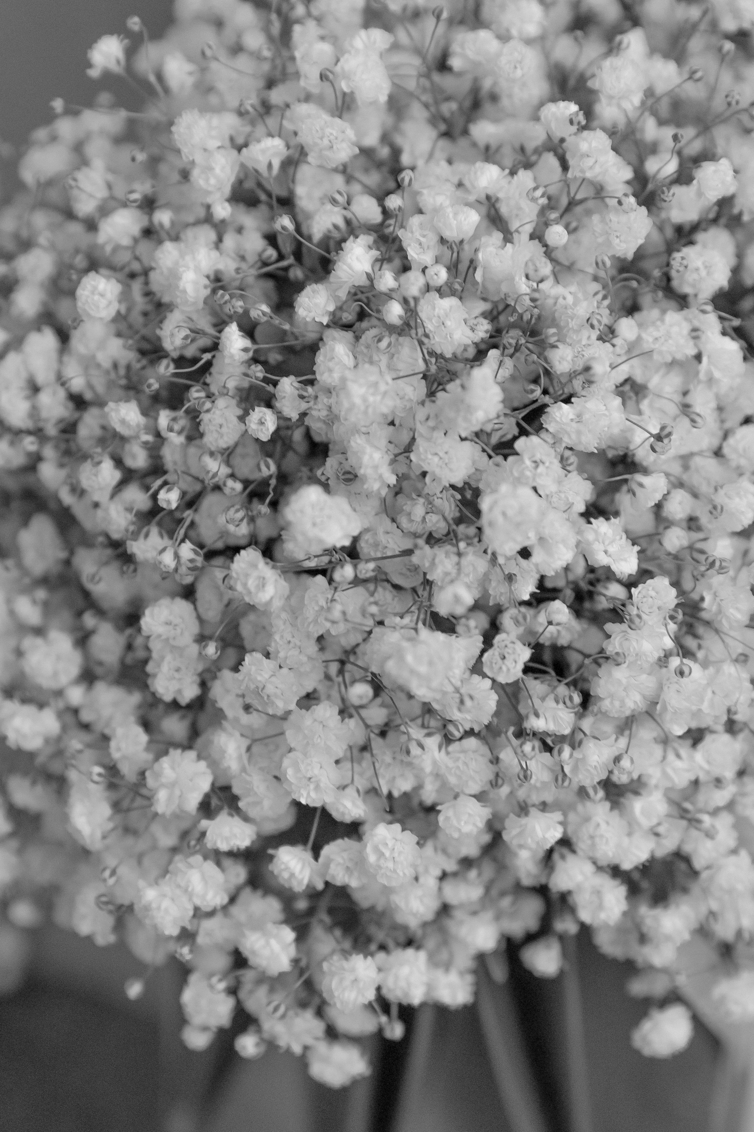 Роман и Анна. Свадебный и семейный фотограф Харольцева Наталья