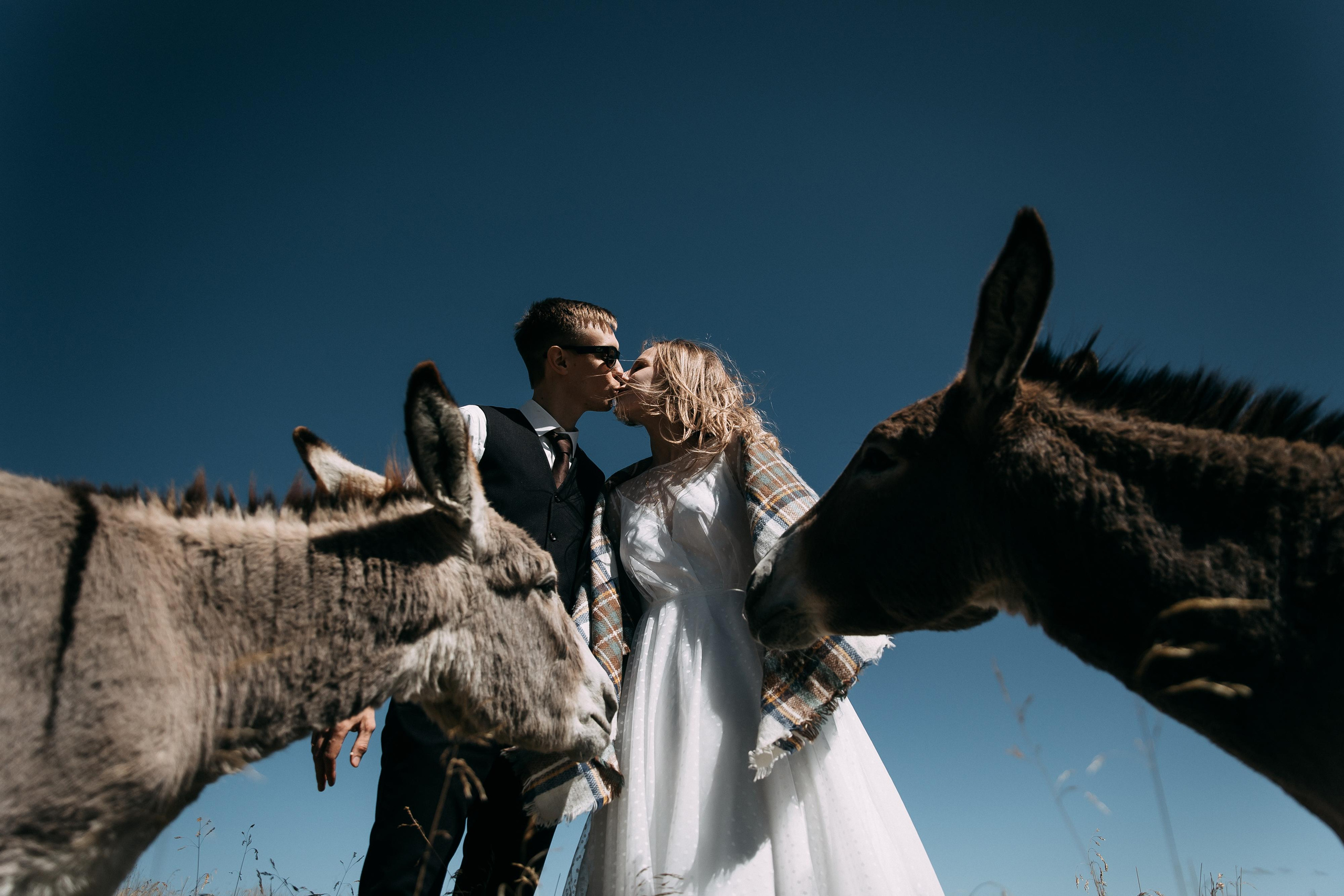 Наталья и Ярослав. Свадебный и семейный фотограф Харольцева Наталья