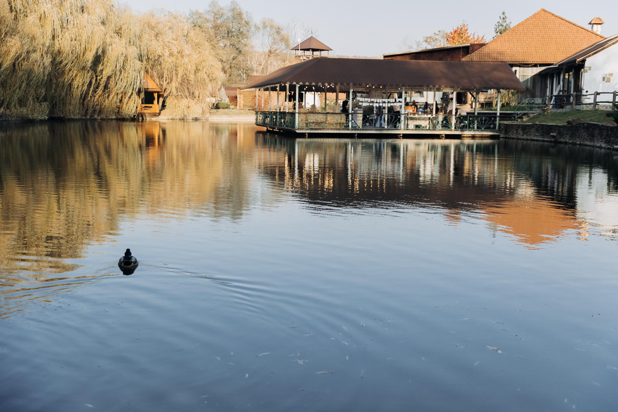 Алексей и Александра. Свадебный и семейный фотограф Харольцева Наталья
