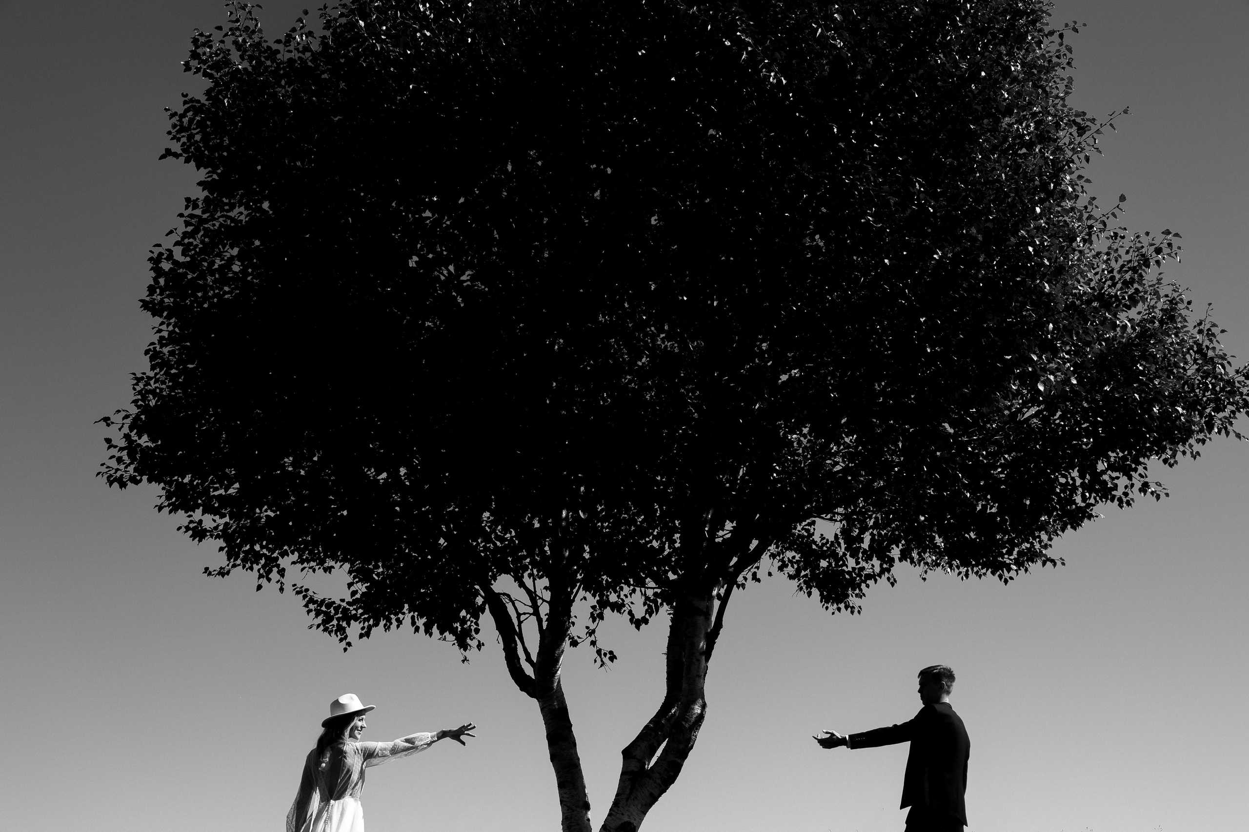 Наталья и Ярослав. Свадебный и семейный фотограф Харольцева Наталья