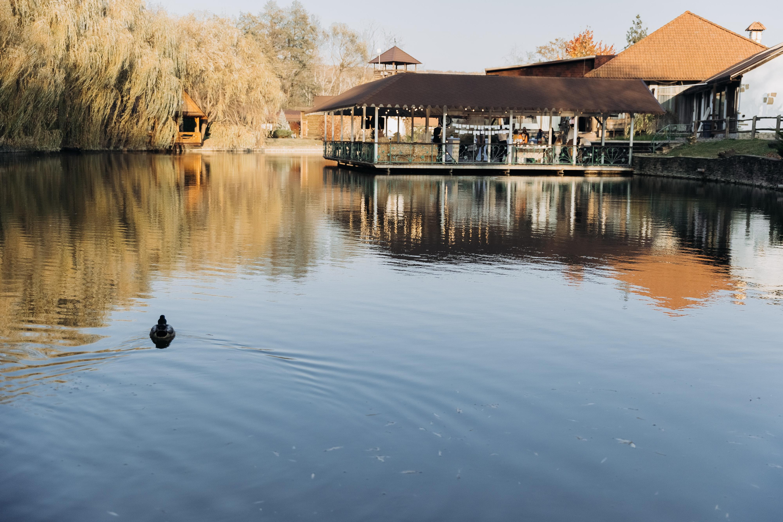 Алексей и Александра. Свадебный и семейный фотограф Харольцева Наталья