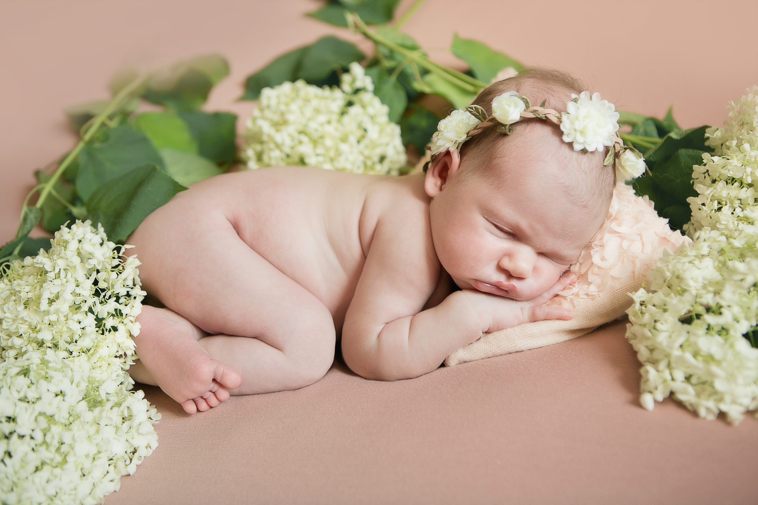 Новорожденные. Семейный, детский, newborn фотограф Москва,Московская обл Алла Риэр