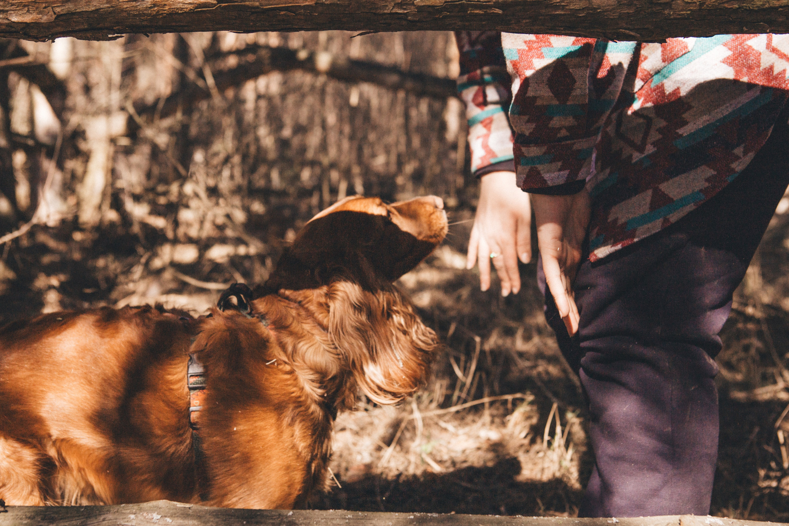 Julia & Jessie. Portrait, family and pet photographer in Cyprus, Ksenia Bourdelle