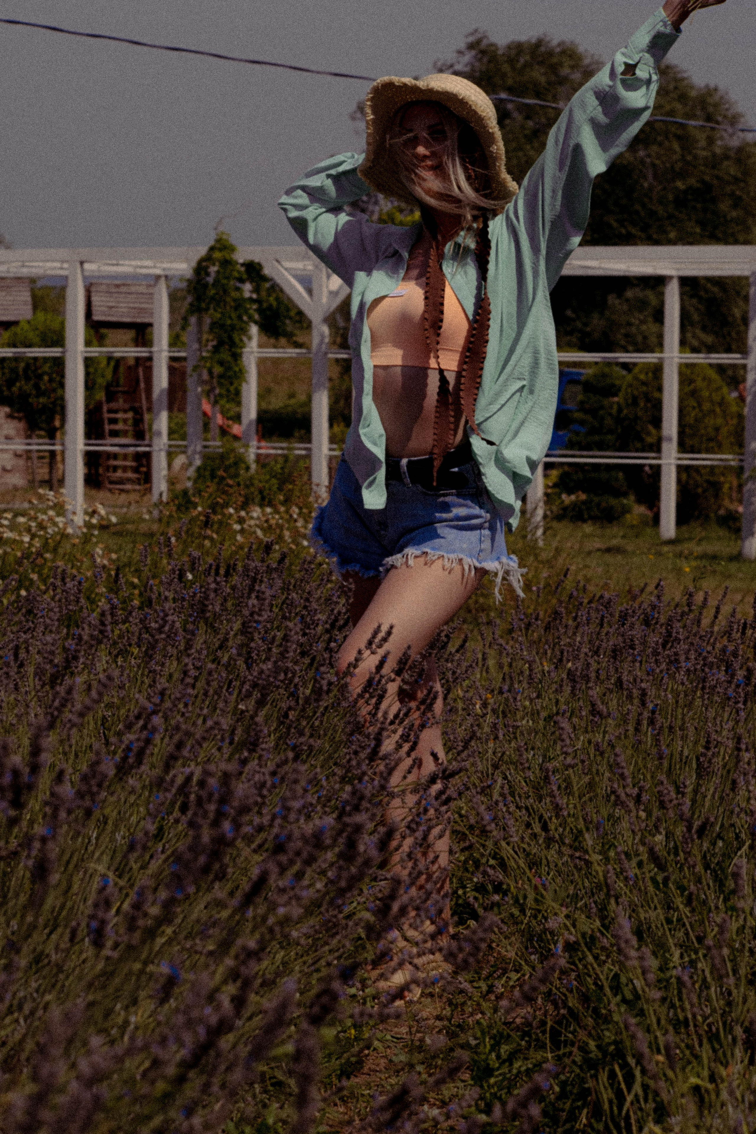 ЛАВАНВОДОВОЕ ПОЛЕ. Профессиональный фотограф, Санкт-Петербург — Виктория Богомолова