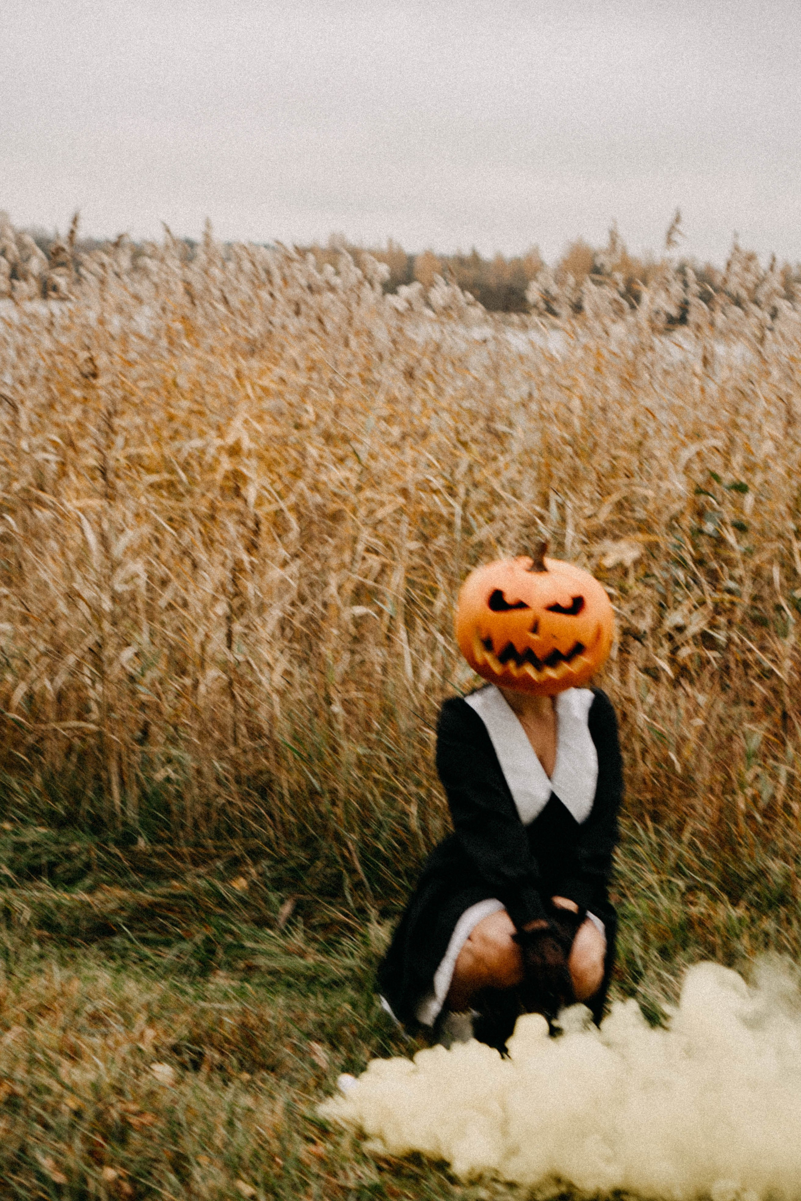 Осеняя. Профессиональный фотограф, Санкт-Петербург — Виктория Богомолова