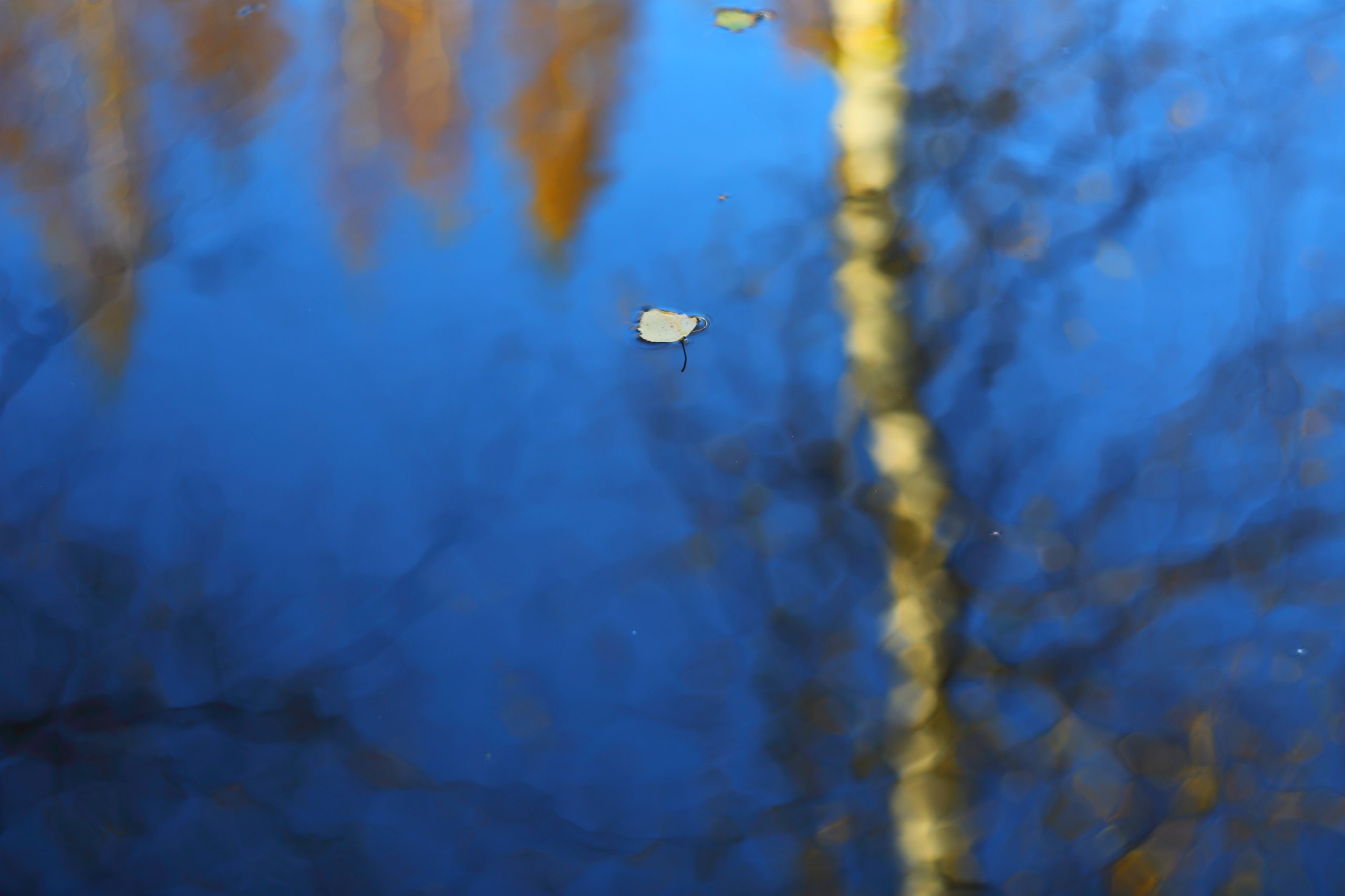 Средняя полоса. Свадебный и репортажный фотограф в Ярославле и Санкт-Петербурге Роман Микрюков