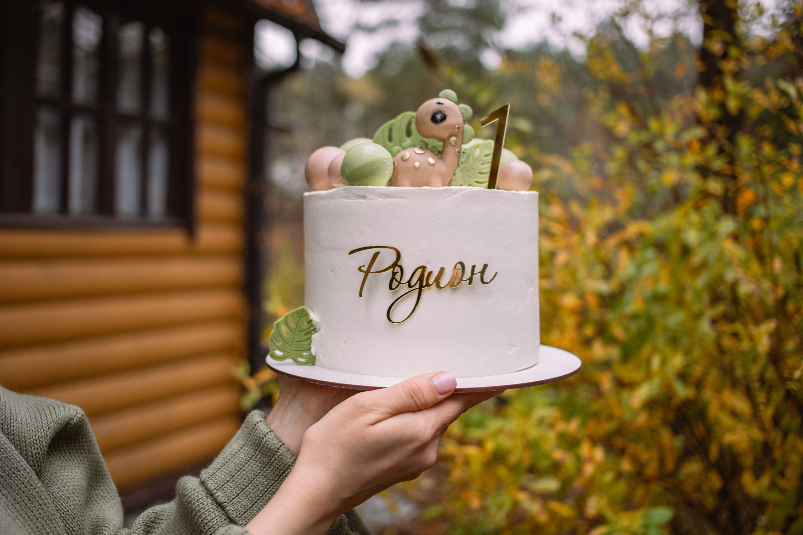 Родя 1 годик. Фотограф Алина Гашникова