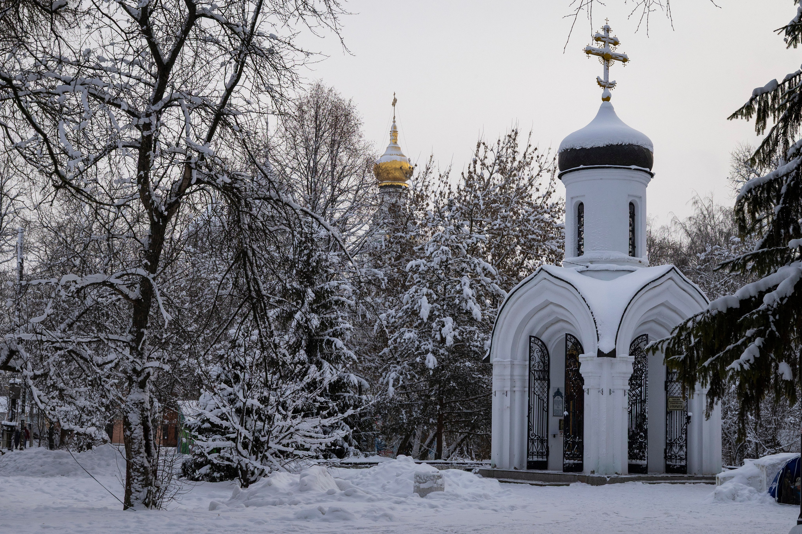 Про жизнь. Фотограф Сергей Ловкий