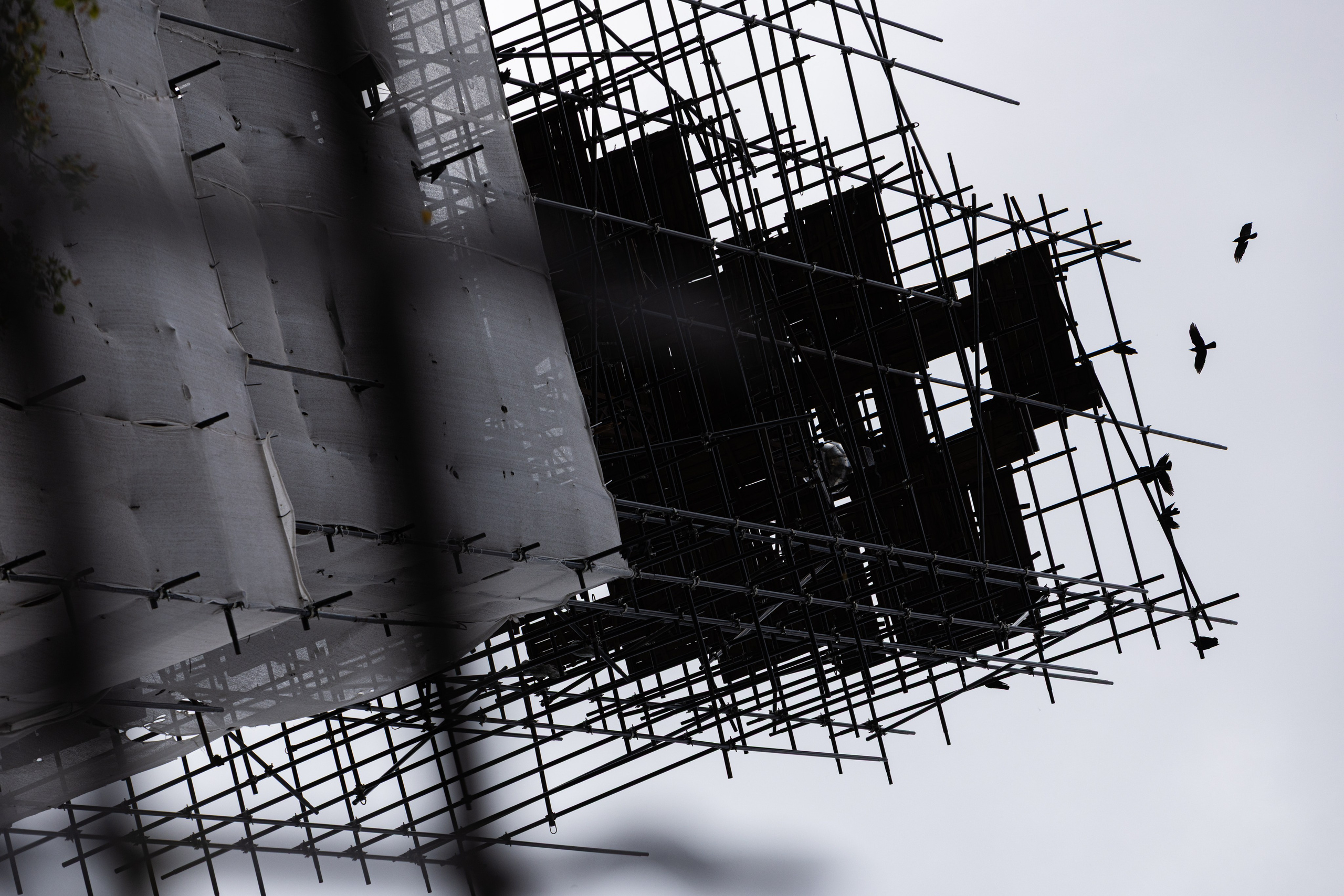 Про жизнь. Фотограф Сергей Ловкий